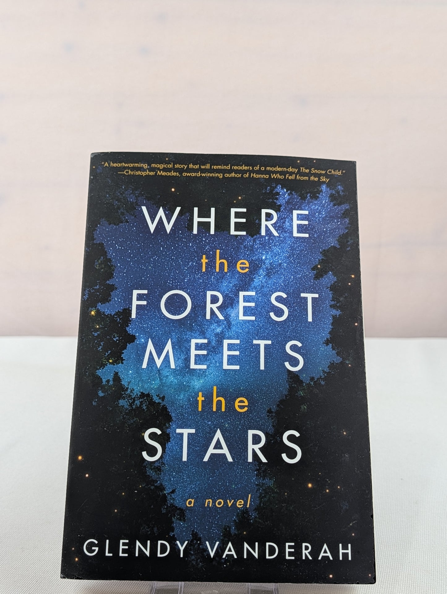 Where the Forest Meets the Stars by Glendy Vanderah