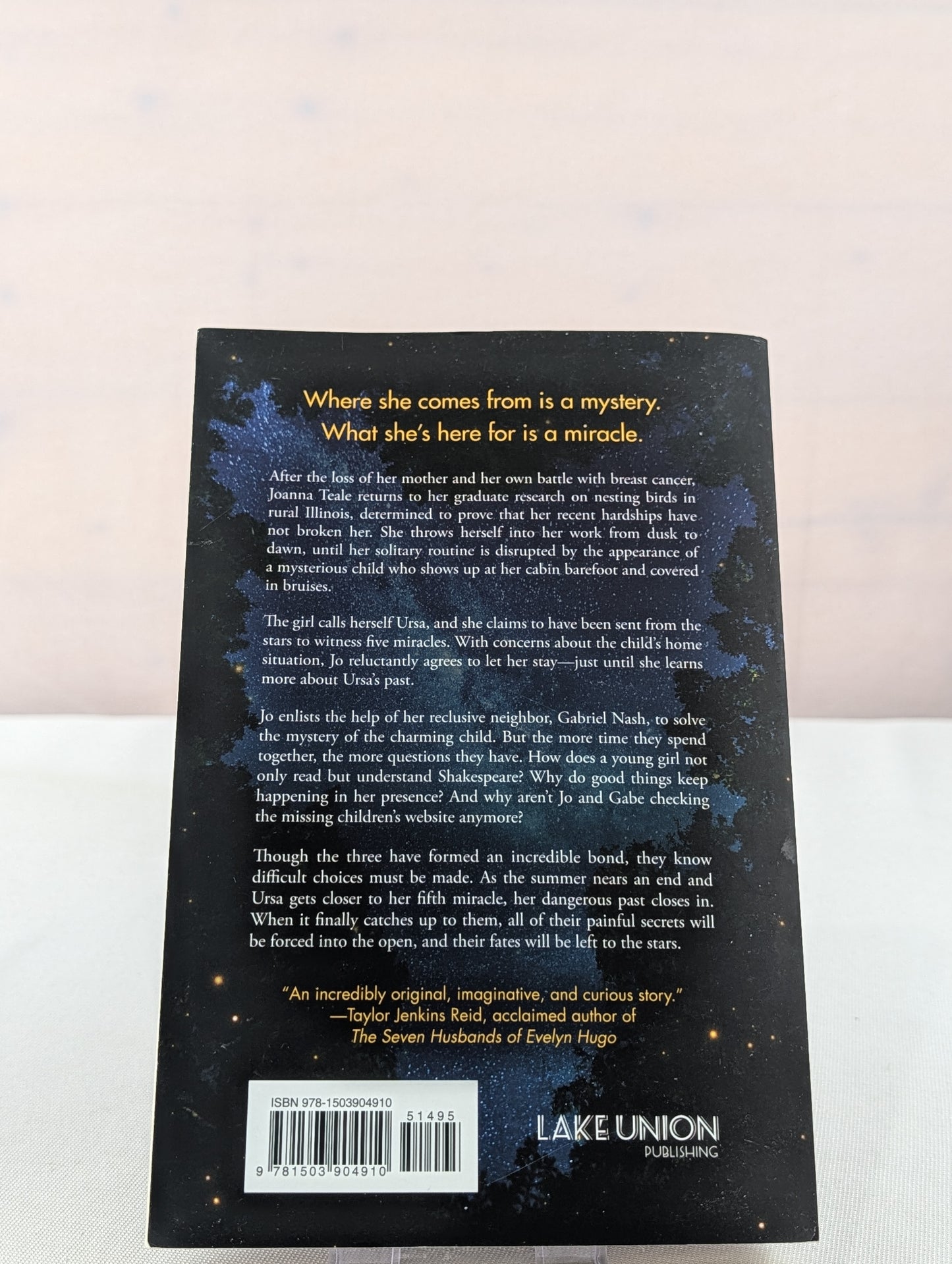 Where the Forest Meets the Stars by Glendy Vanderah