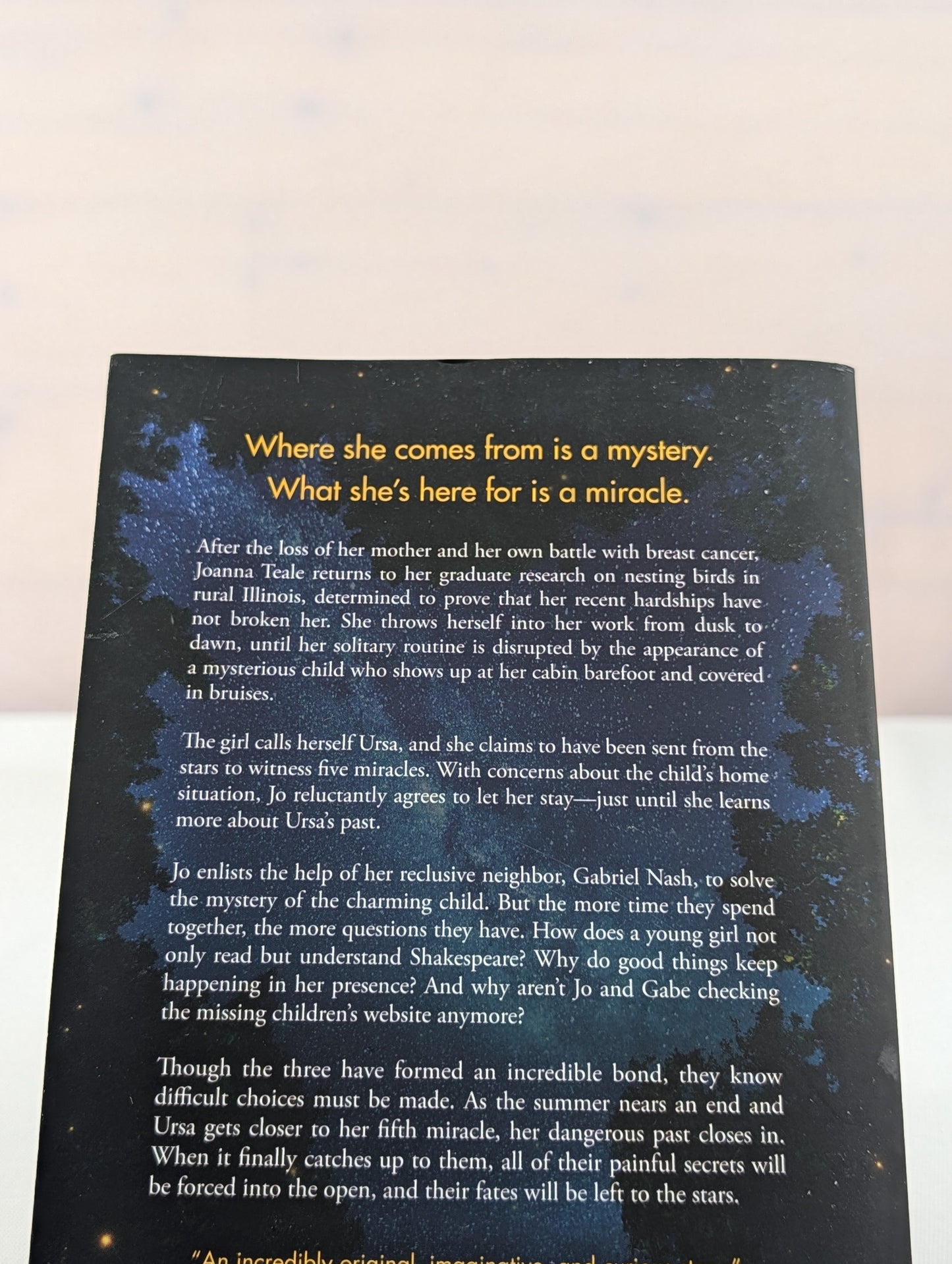 Where the Forest Meets the Stars by Glendy Vanderah