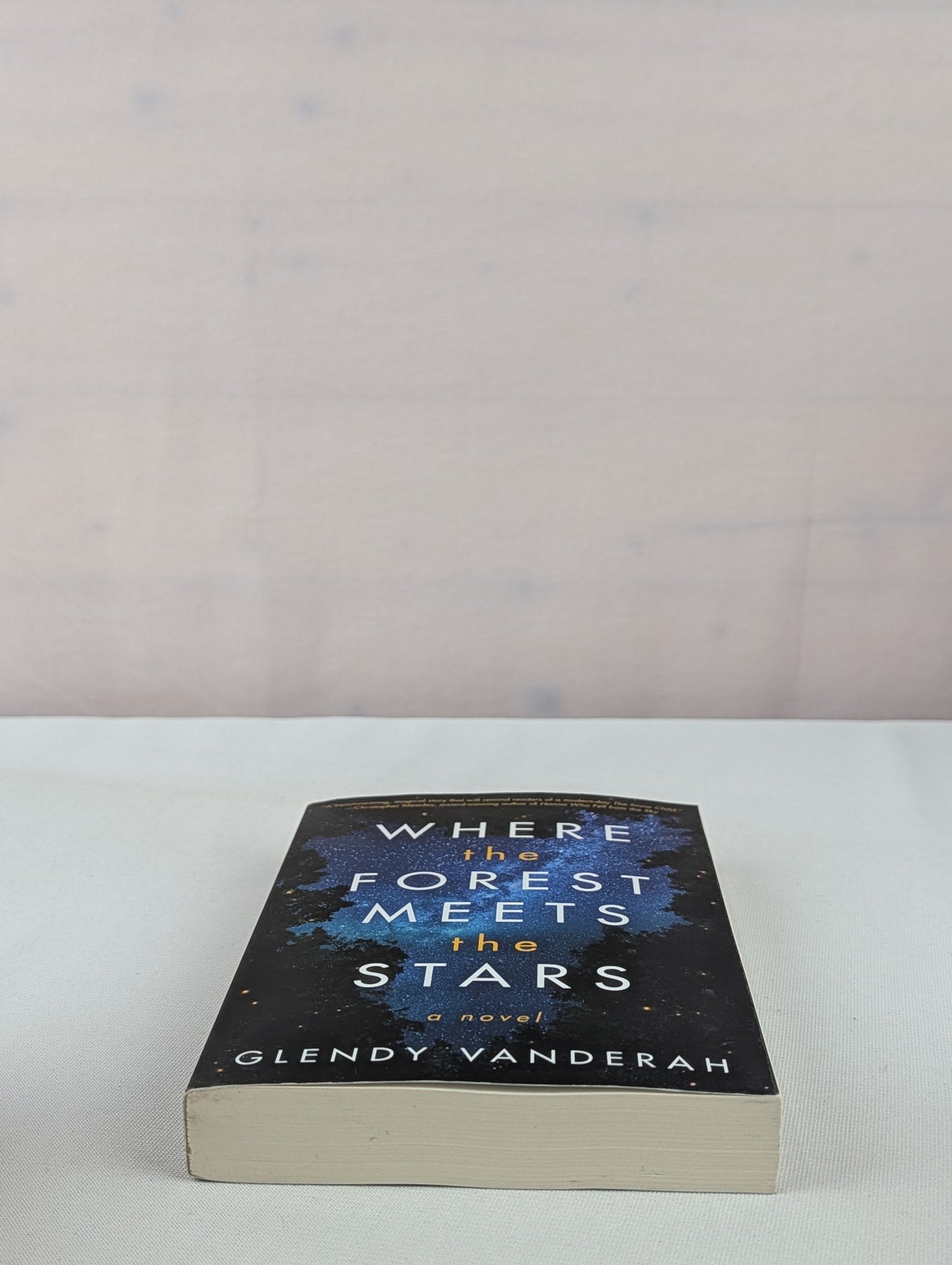 Where the Forest Meets the Stars by Glendy Vanderah