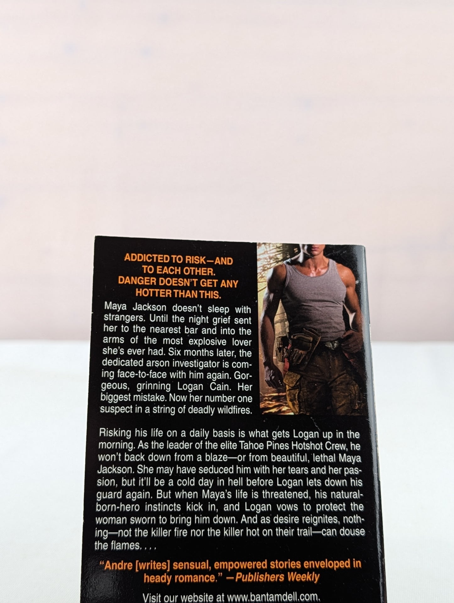 Wild Heat (Hot Shots Men of Fire) by Bella Andre