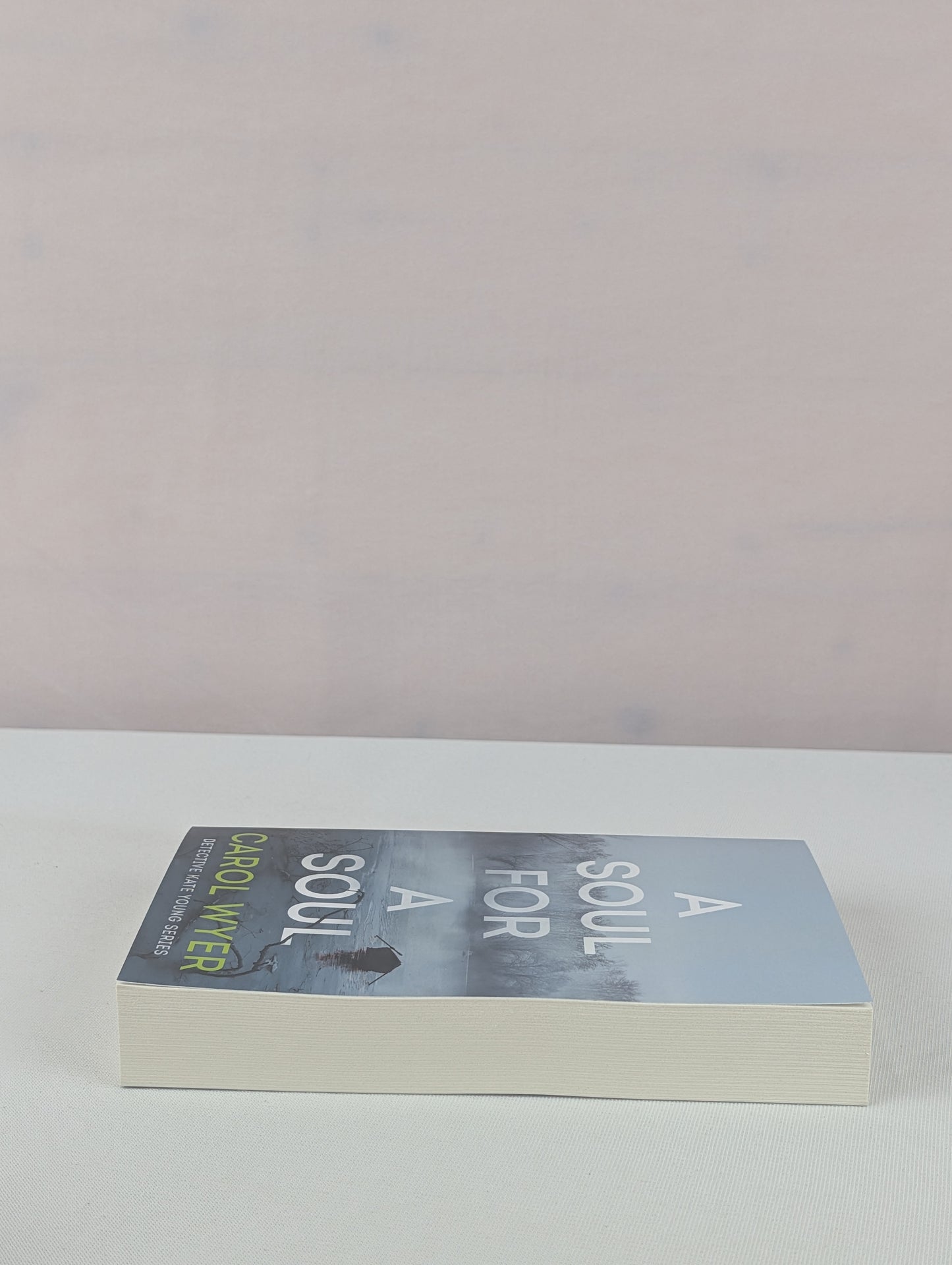 A Soul for a Soul (Detective Kate Young) by Carol Wyer