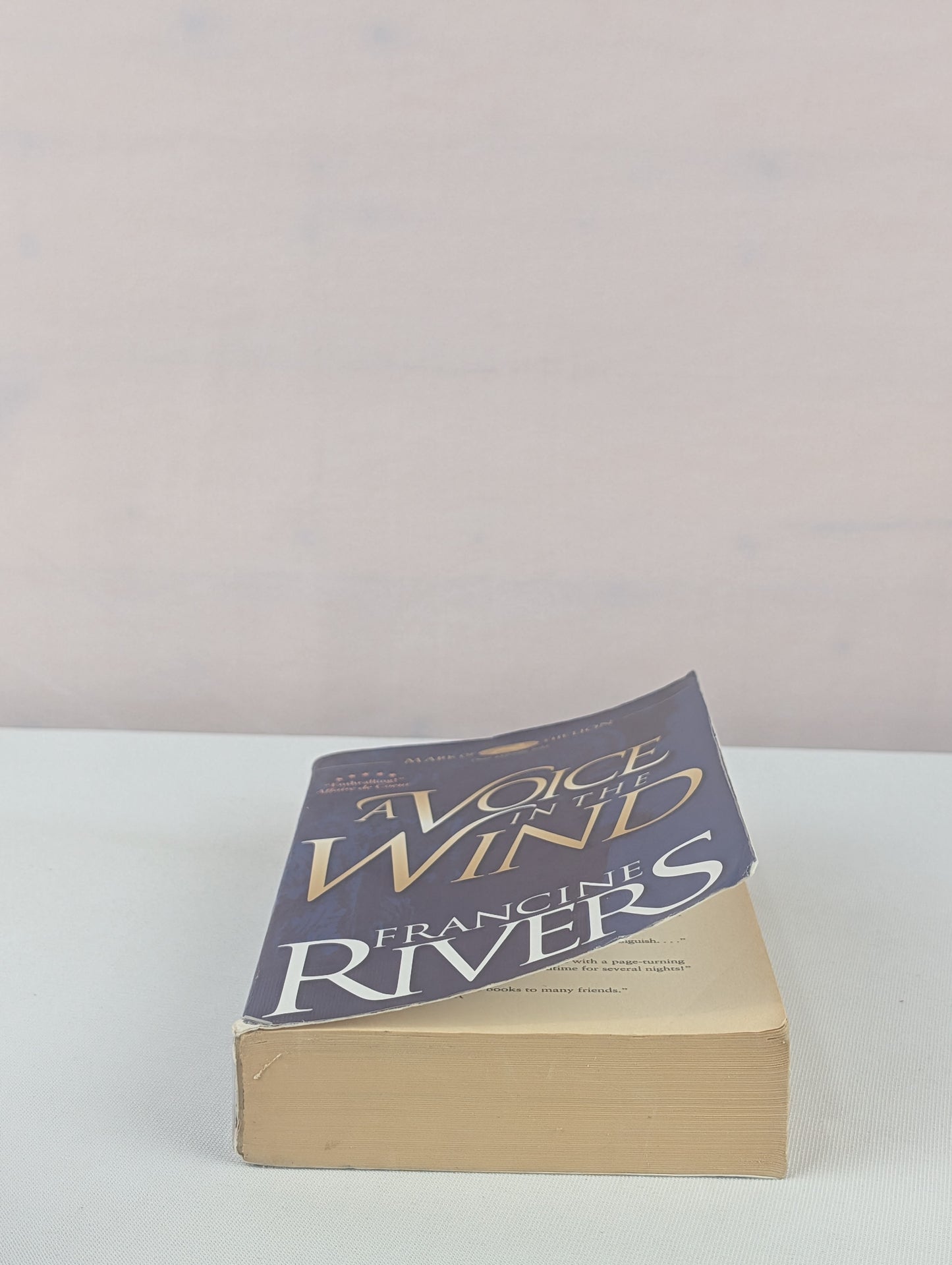 A Voice in the Wind (Mark of the Lion #1) by Francine Rivers