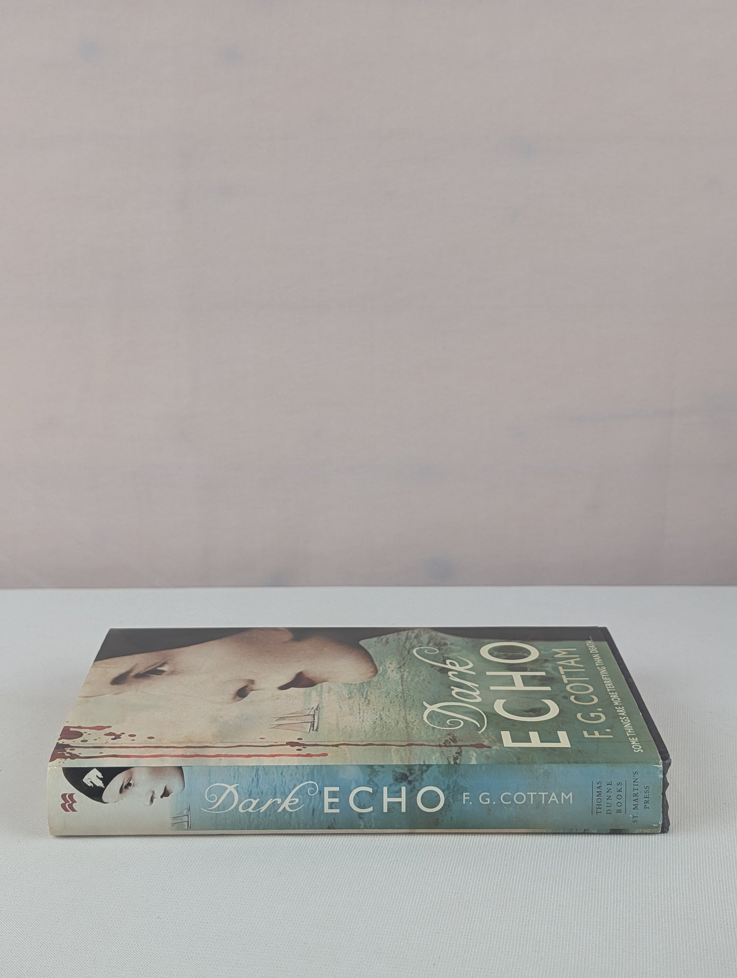 Dark Echo: A Ghost Story by F. G. Cottam
