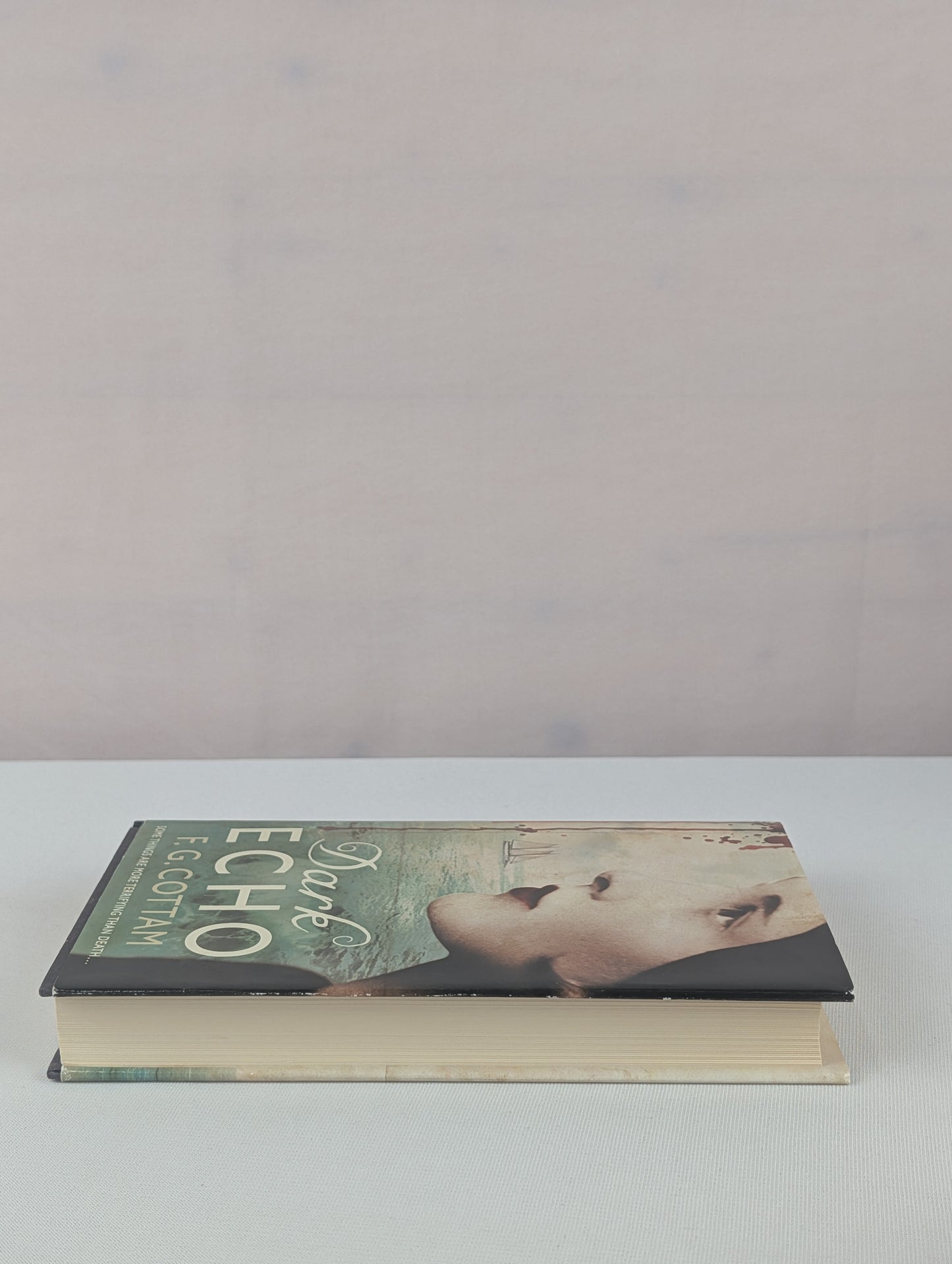 Dark Echo: A Ghost Story by F. G. Cottam