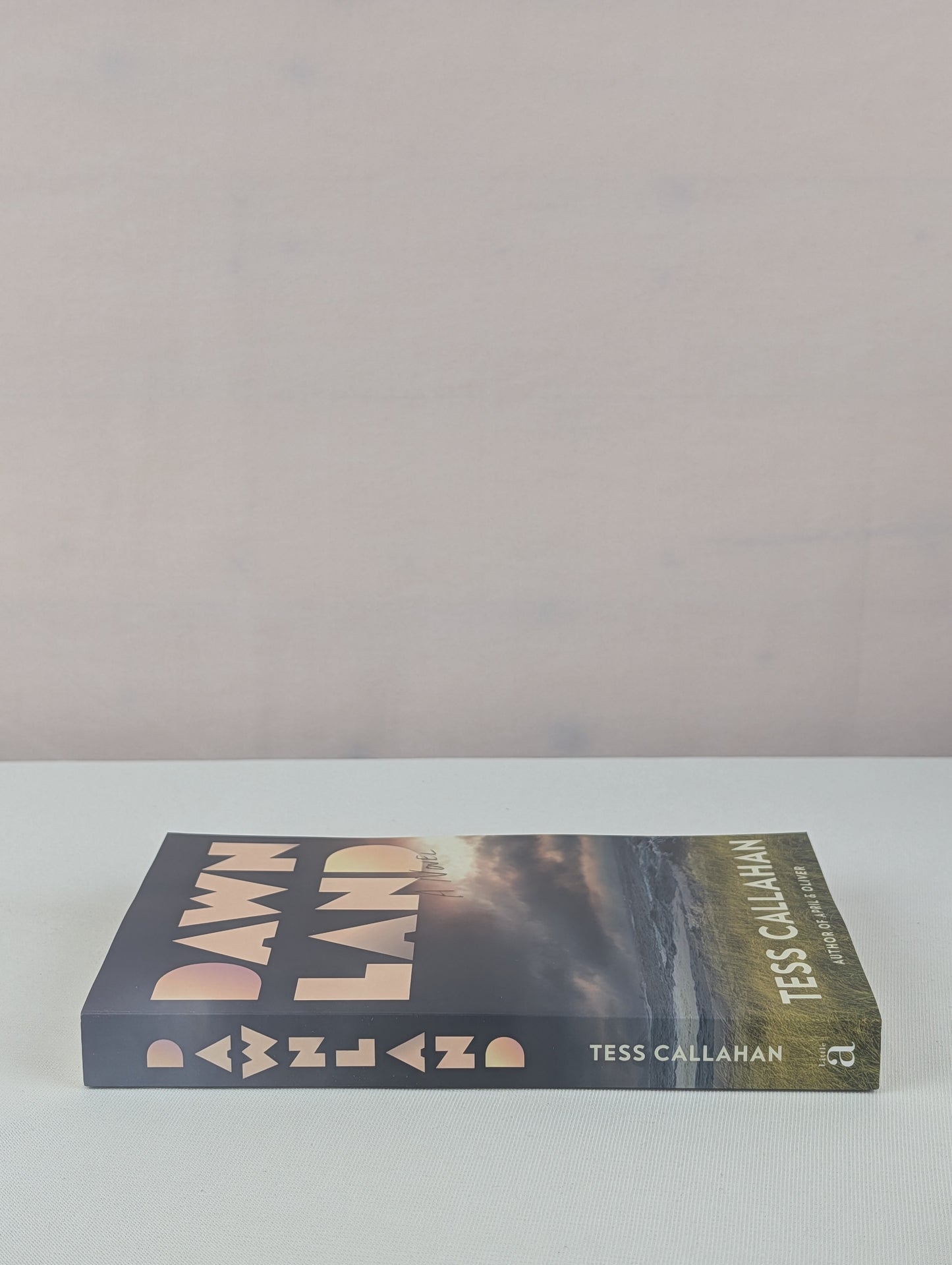 Dawnland: A Novel by Tess Callahan