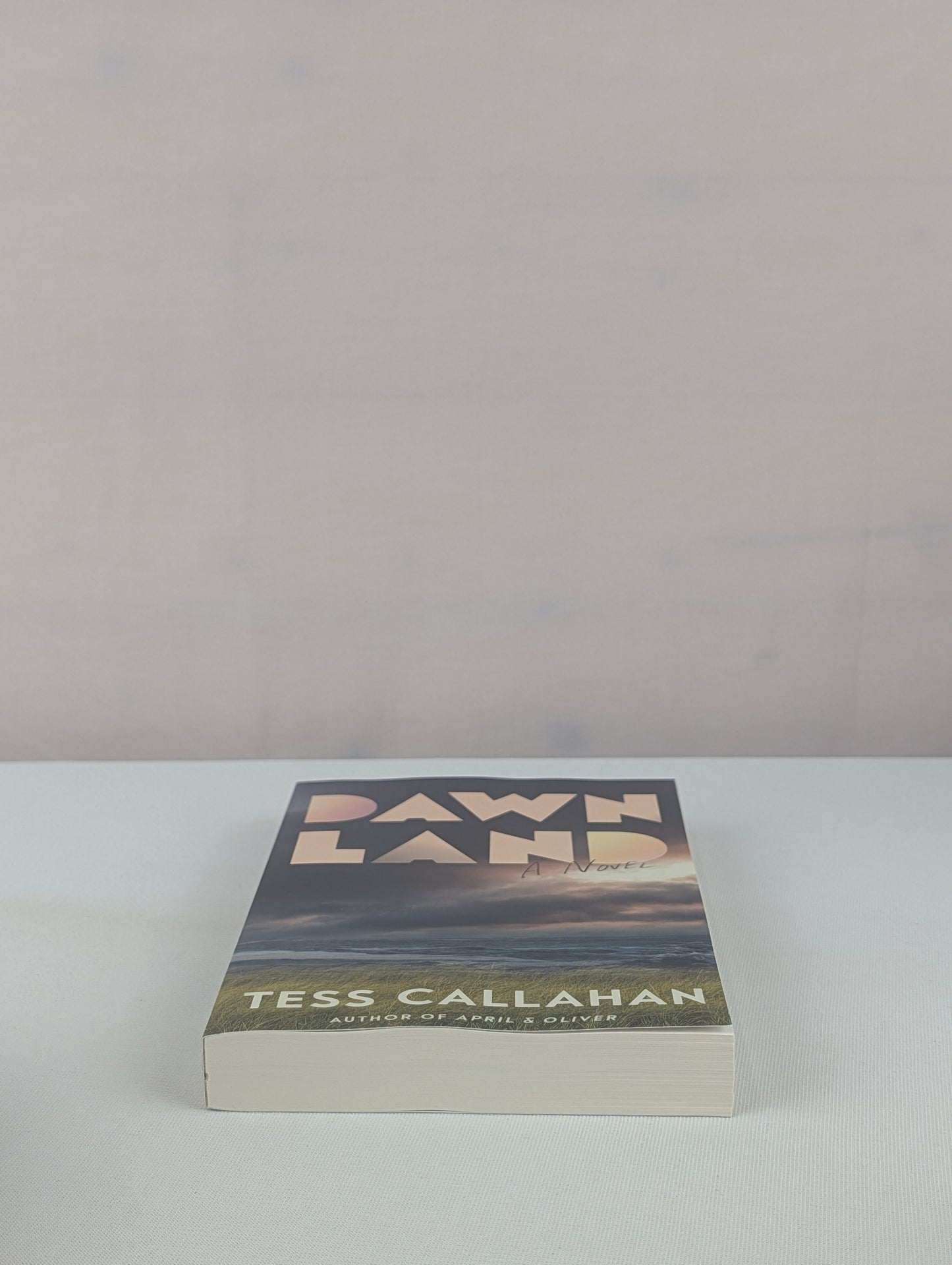 Dawnland: A Novel by Tess Callahan