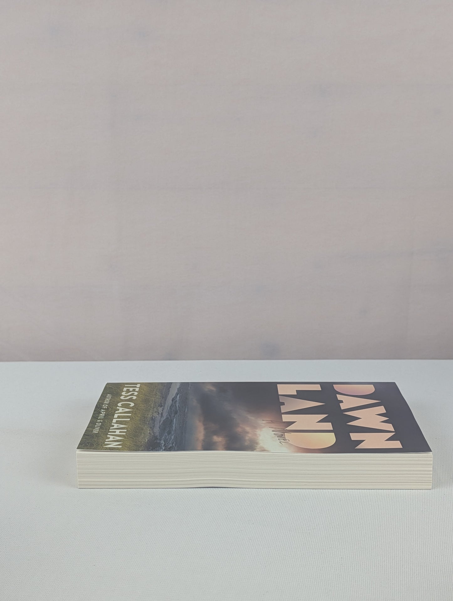 Dawnland: A Novel by Tess Callahan