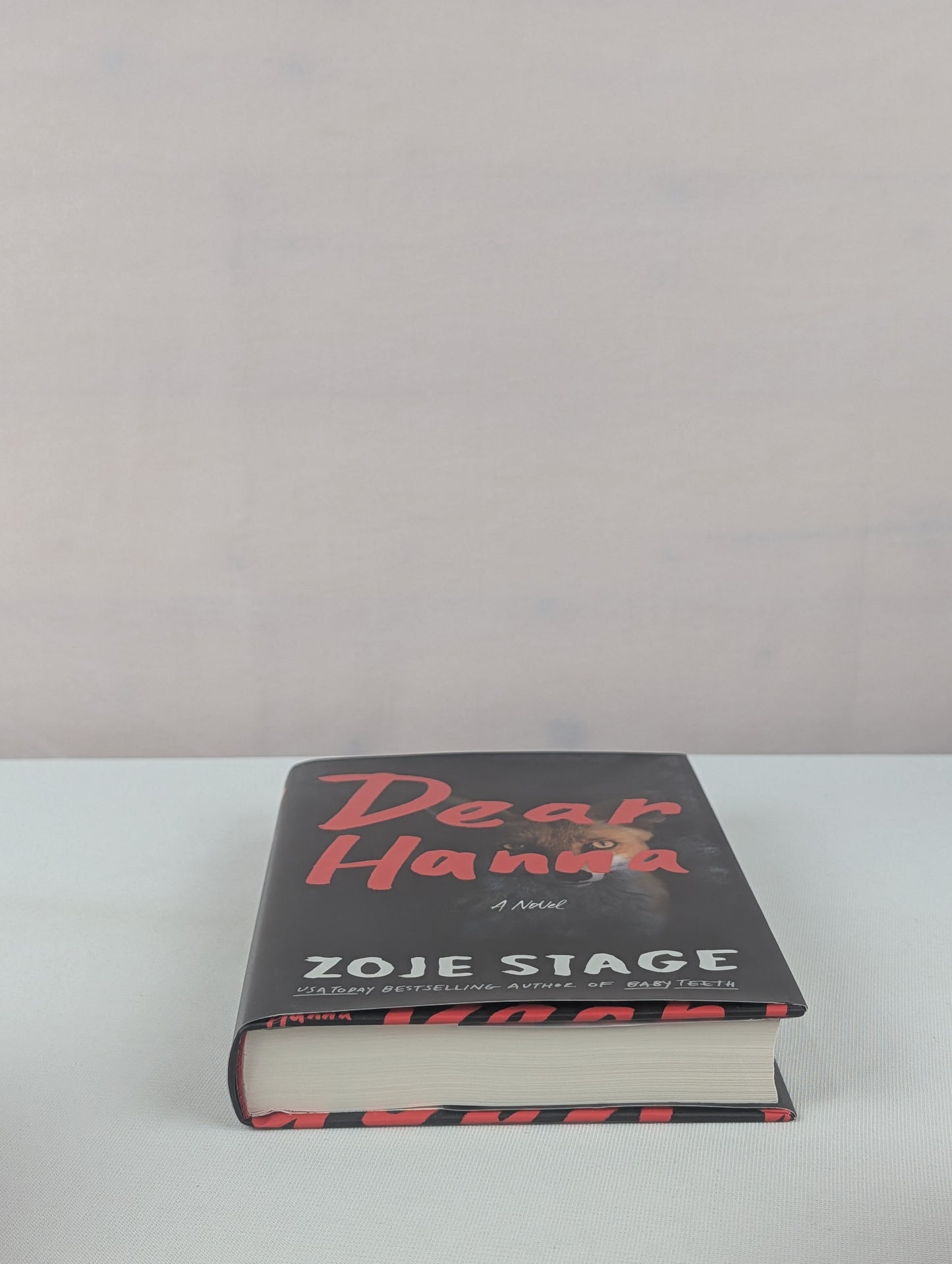 Dear Hanna: A Novel by Zoje Stage
