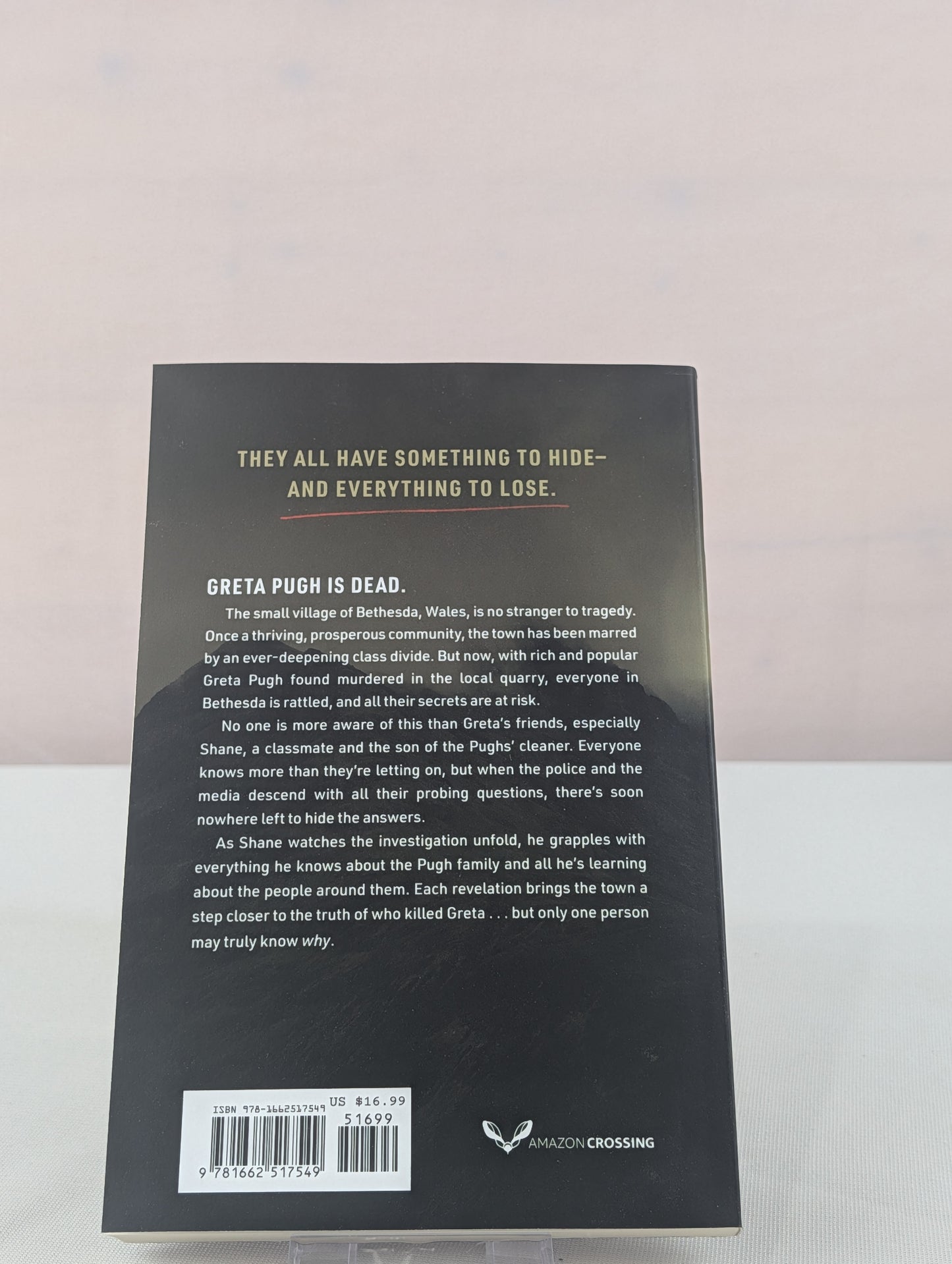 Greta: A Novel by Manon Steffan Ros