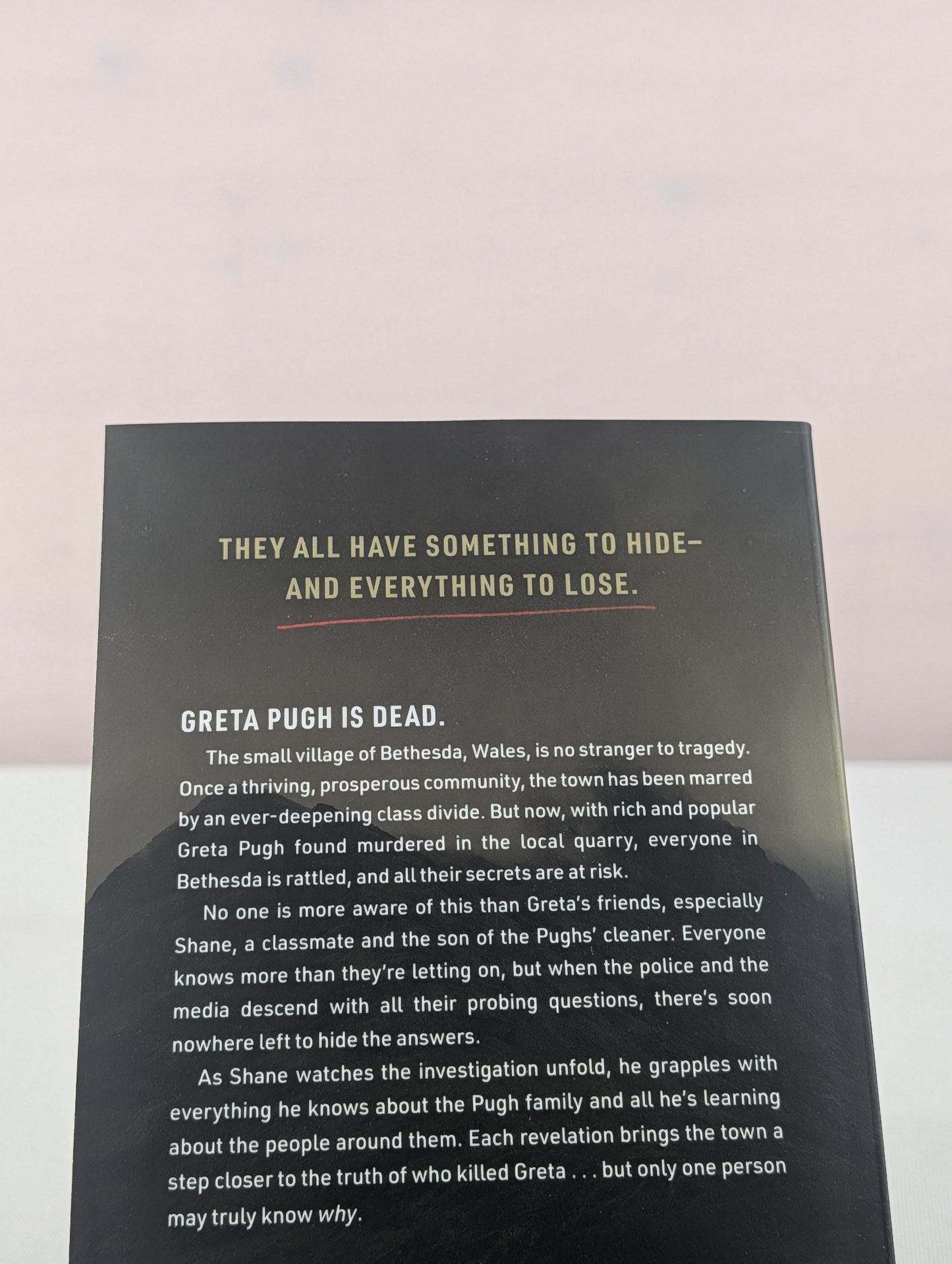 Greta: A Novel by Manon Steffan Ros