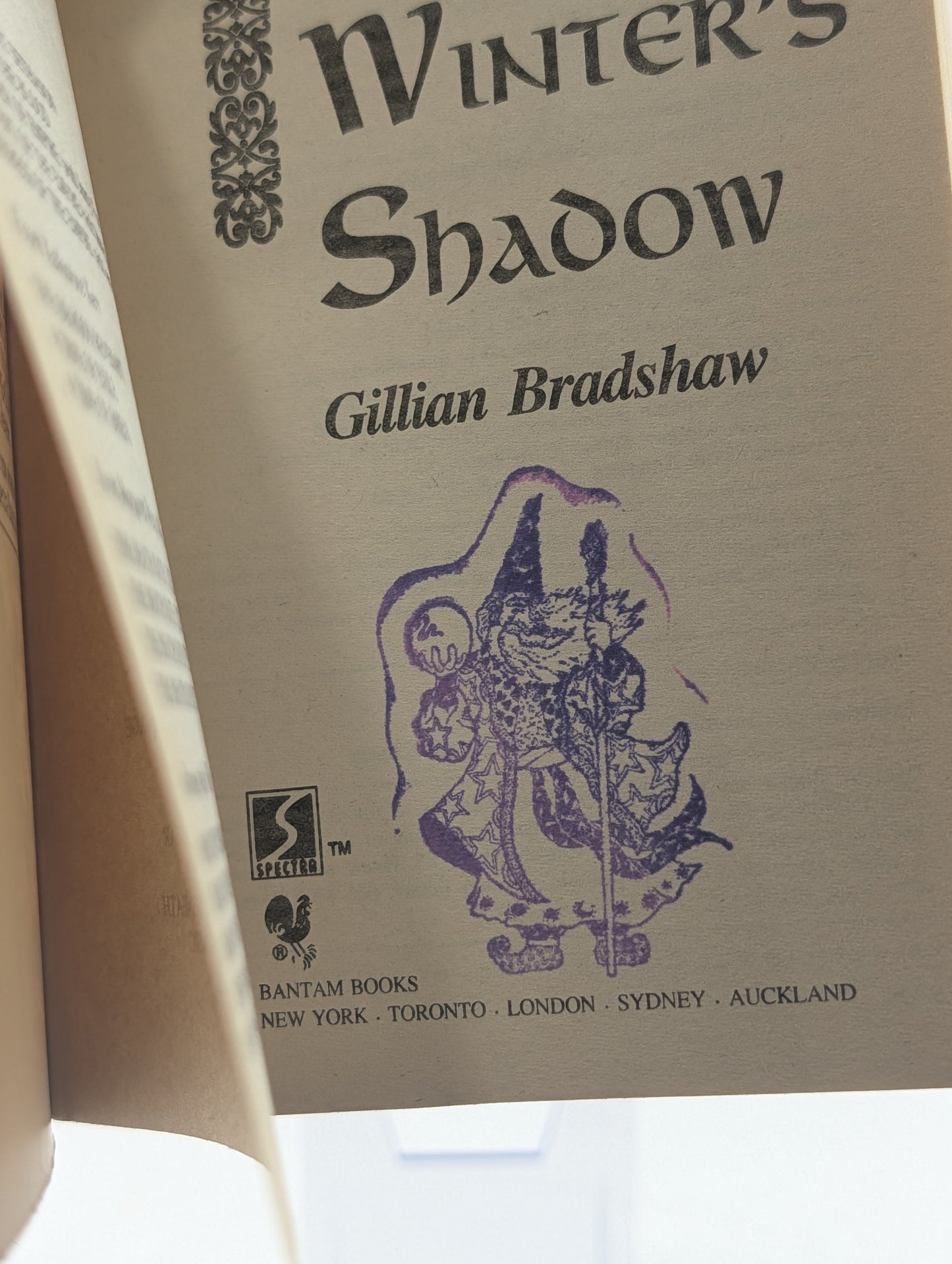 In Winter's Shadow by Gillian Bradshaw