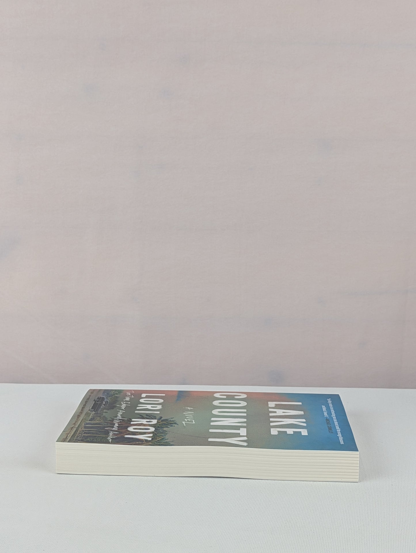 Lake County: A Novel by Lori Roy