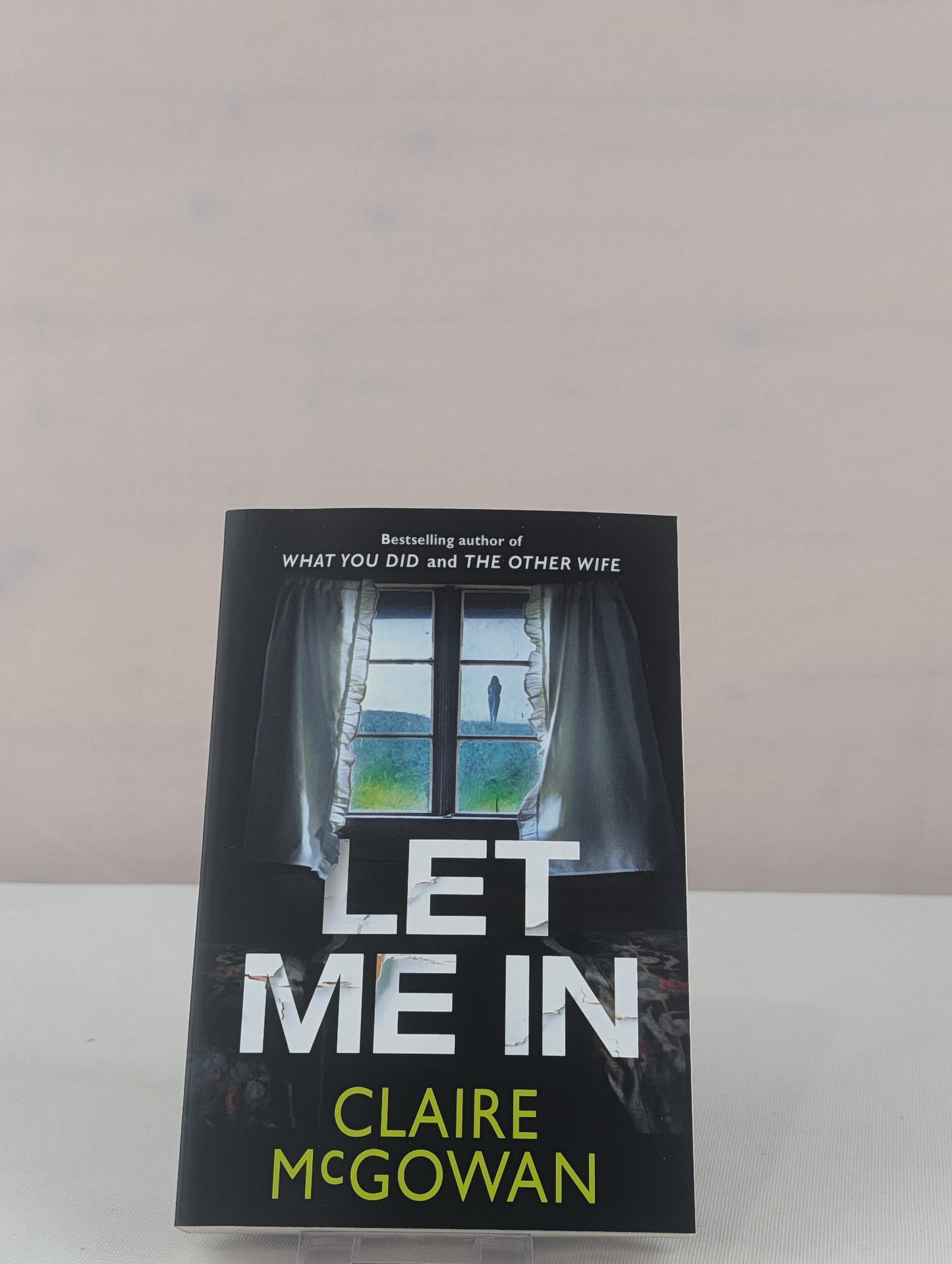 Let Me In by Claire McGowan