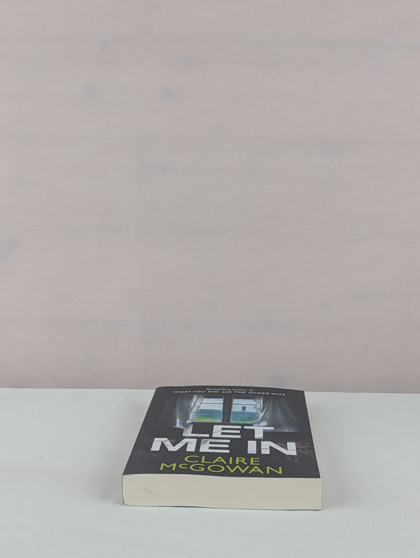 Let Me In by Claire McGowan