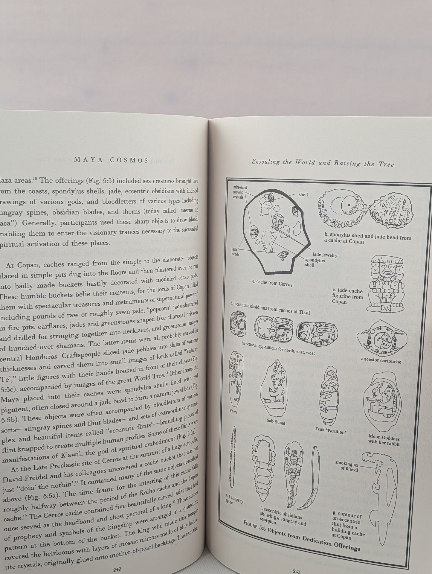 Maya Cosmos: Three Thousand Years on the Shaman's Path by David Freidel, Linda Schele, Joy Parker
