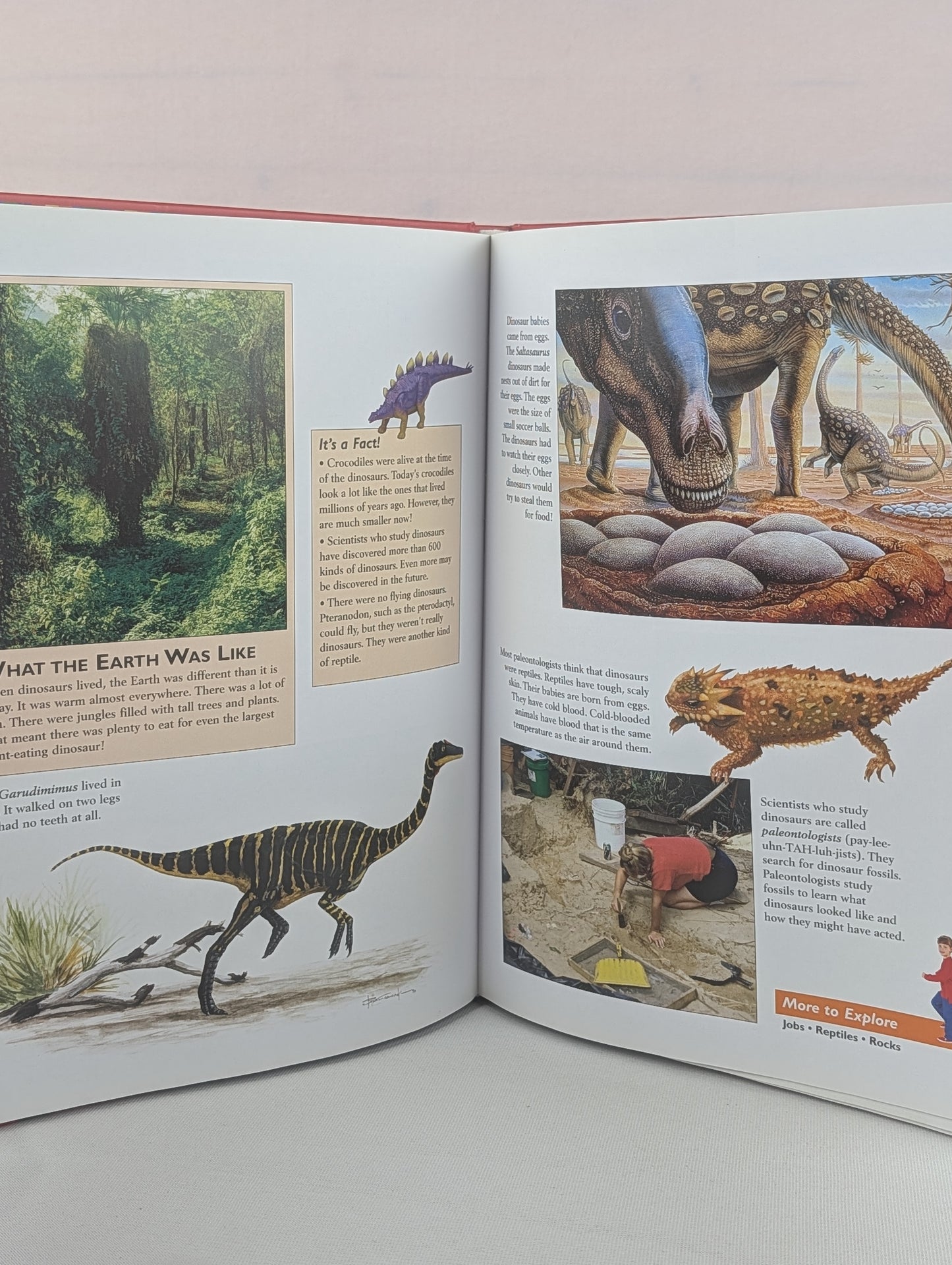 My First Encyclopedia by Editors of Publications International Ltd.