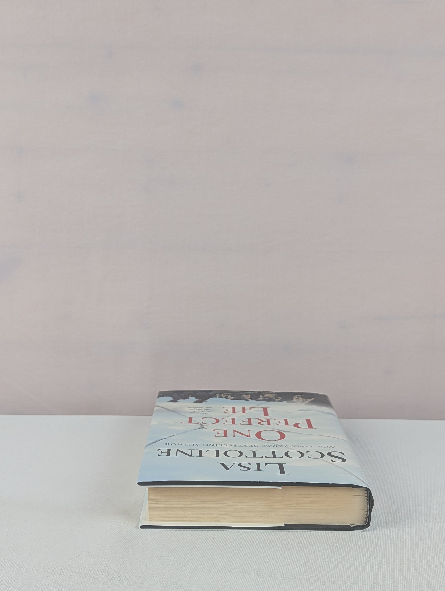 One Perfect Lie by Lisa Scottoline