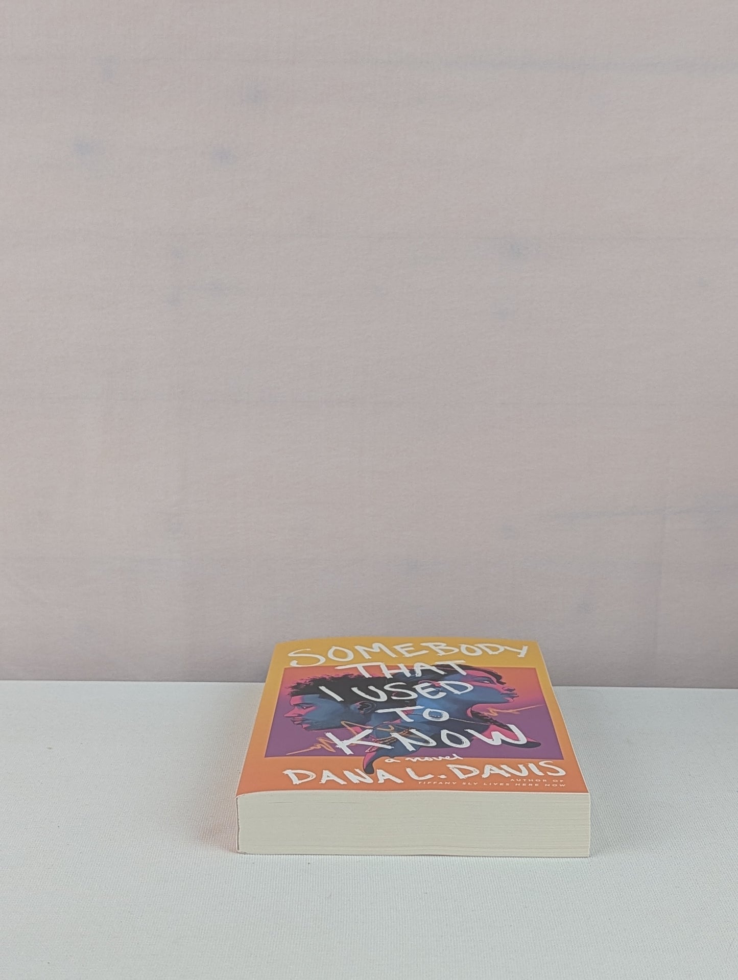 Somebody That I Used to Know: A Novel by Dana L. Davis