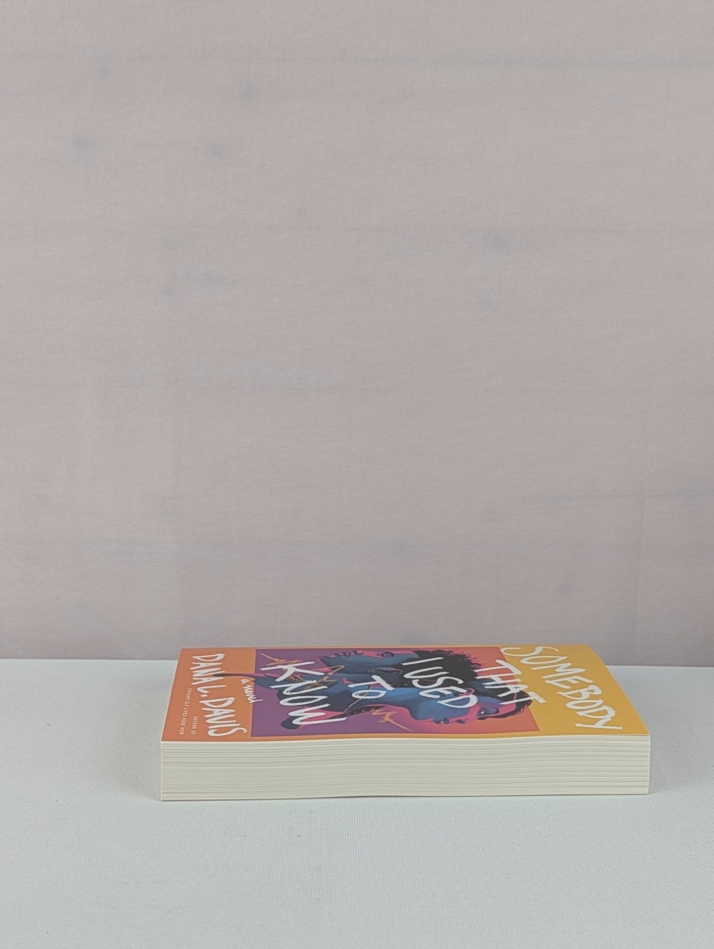 Somebody That I Used to Know: A Novel by Dana L. Davis