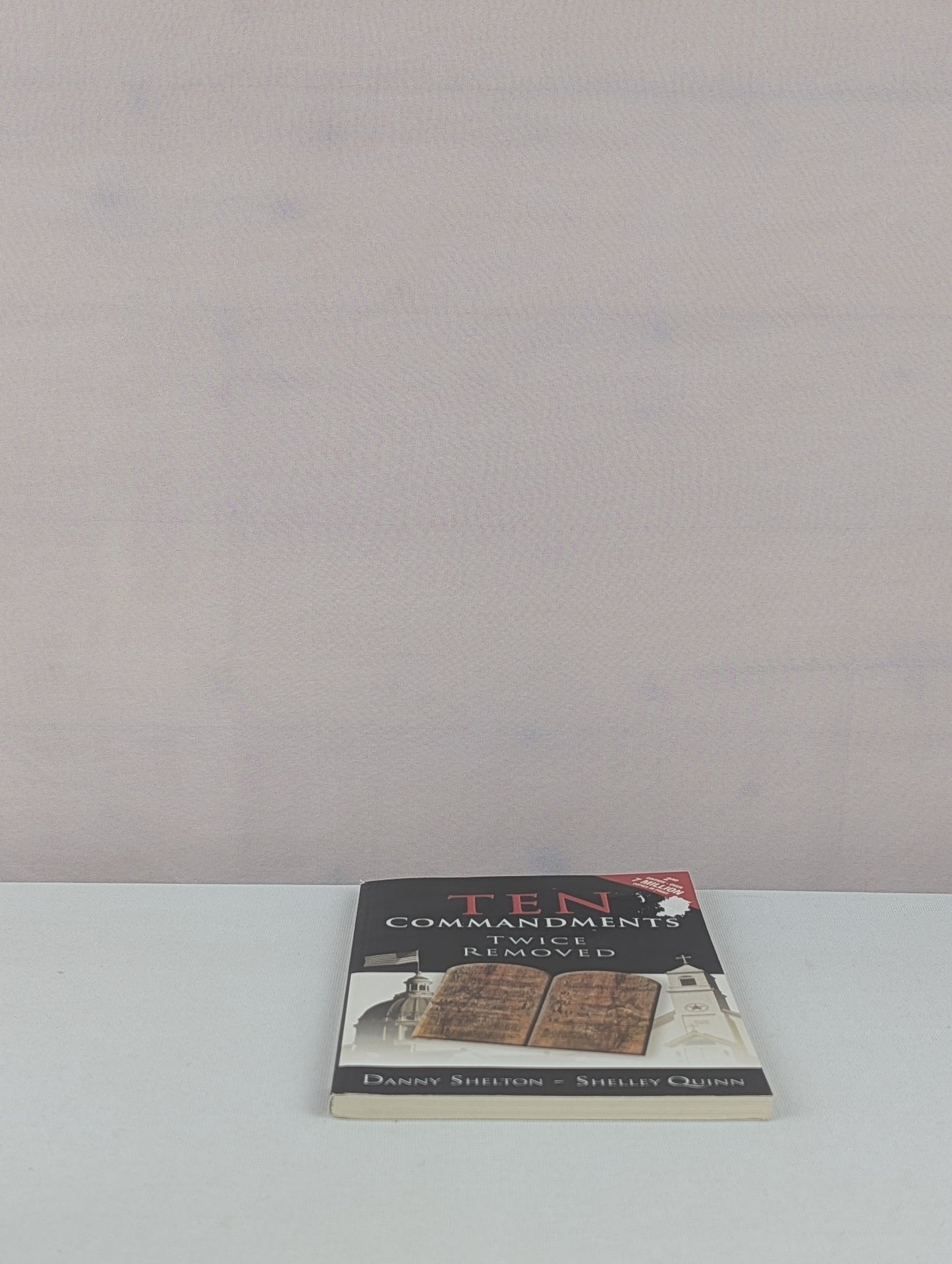 Ten Commandments Twice Removed by Danny Shelton, Shelley J. Quinn