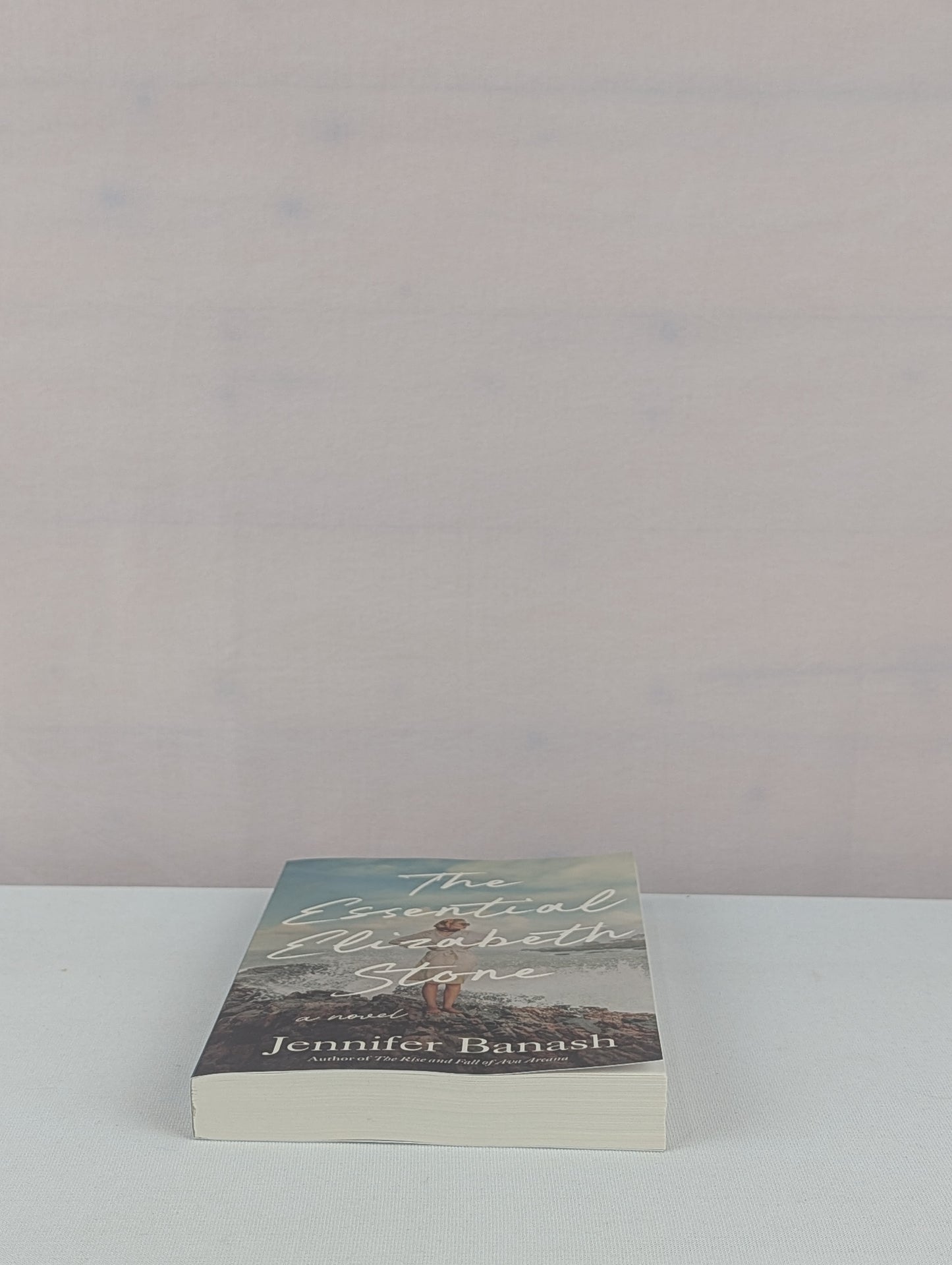 The Essential Elizabeth Stone: A Novel by Jennifer Banash