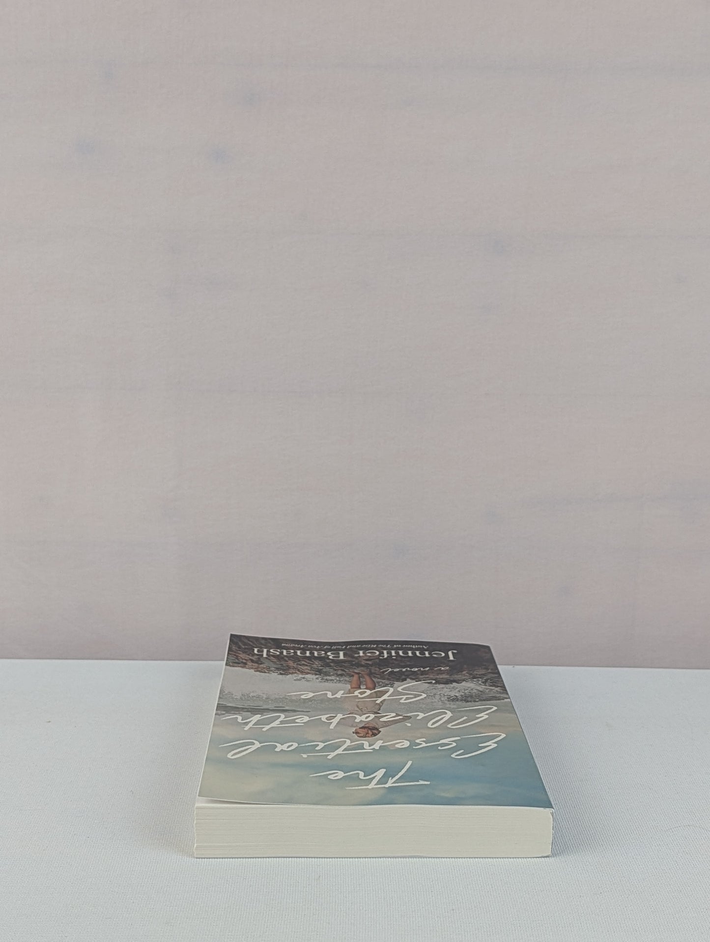 The Essential Elizabeth Stone: A Novel by Jennifer Banash