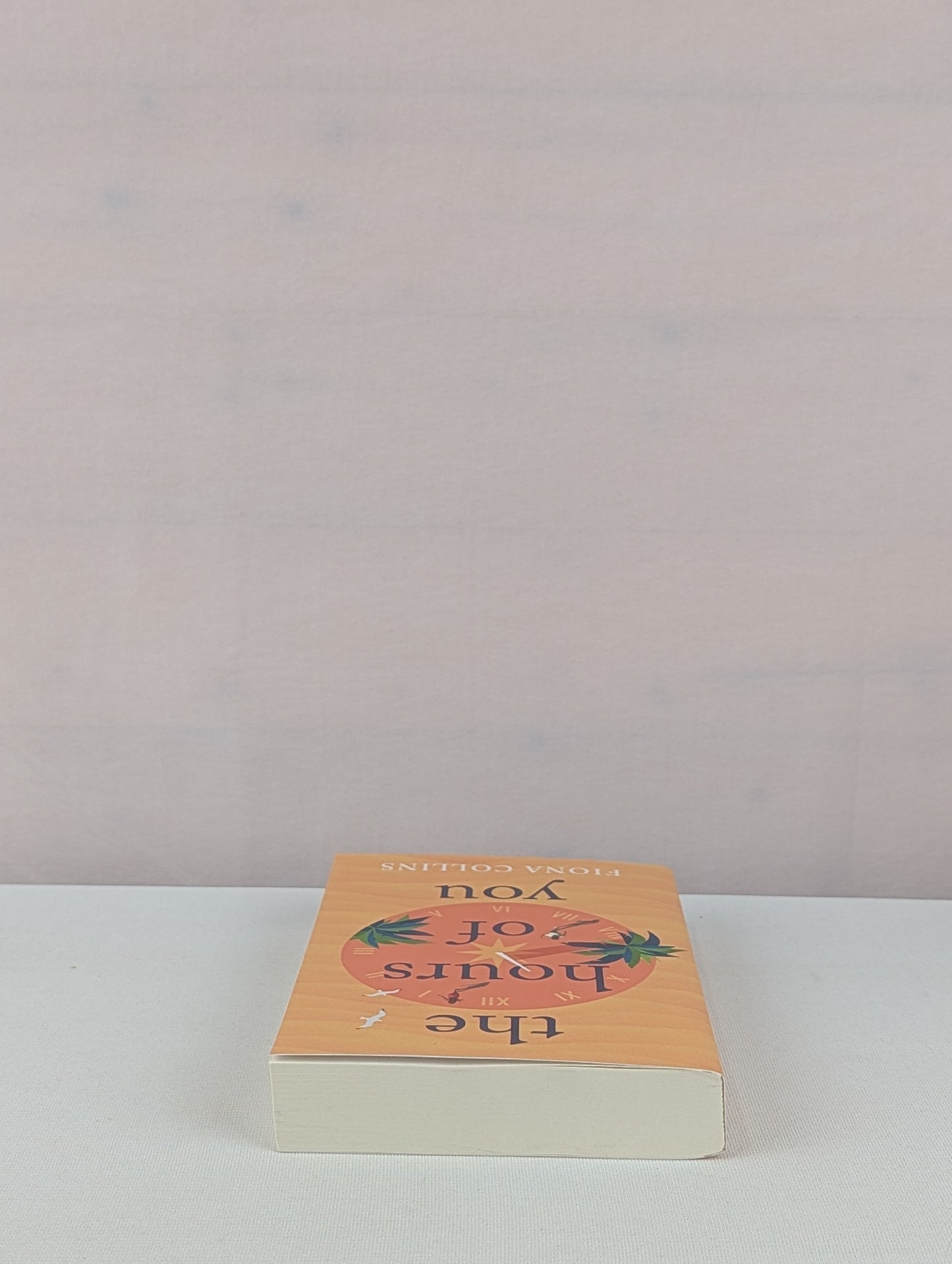 The Hours of You by Fiona Collins