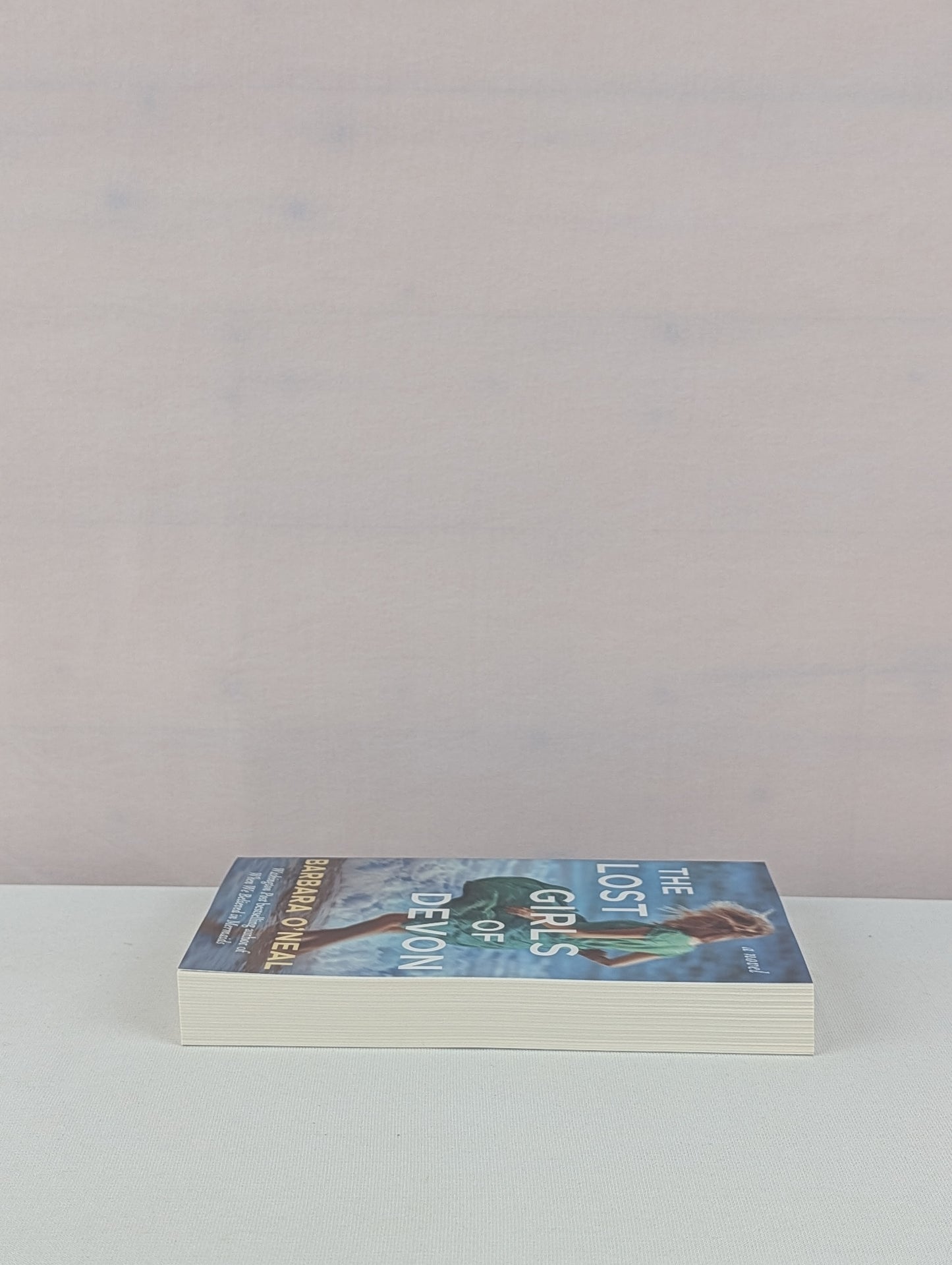 The Lost Girls of Devon by Barbara O'Neal