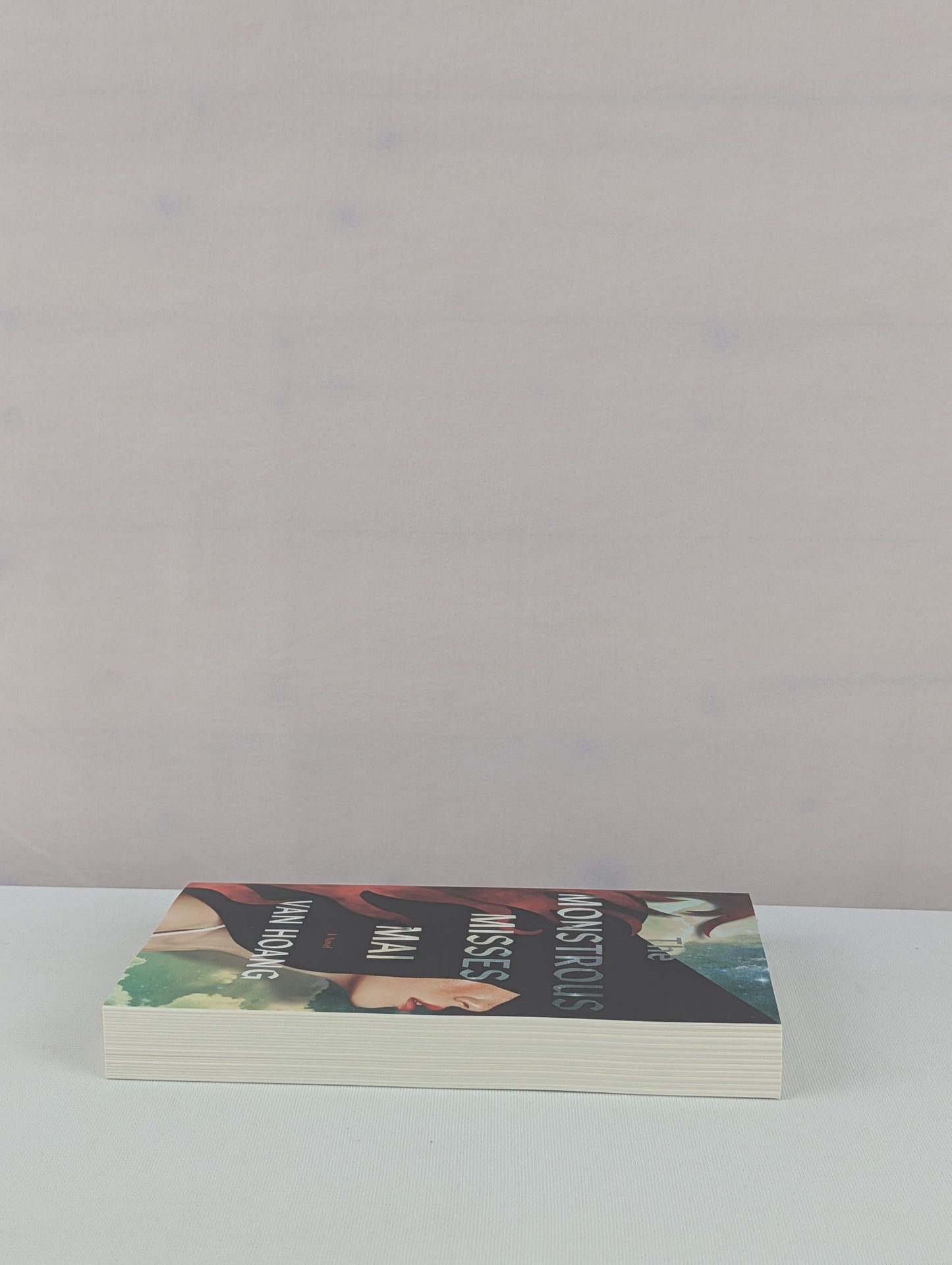 The Monstrous Misses Mai: A Novel by Van Hoang
