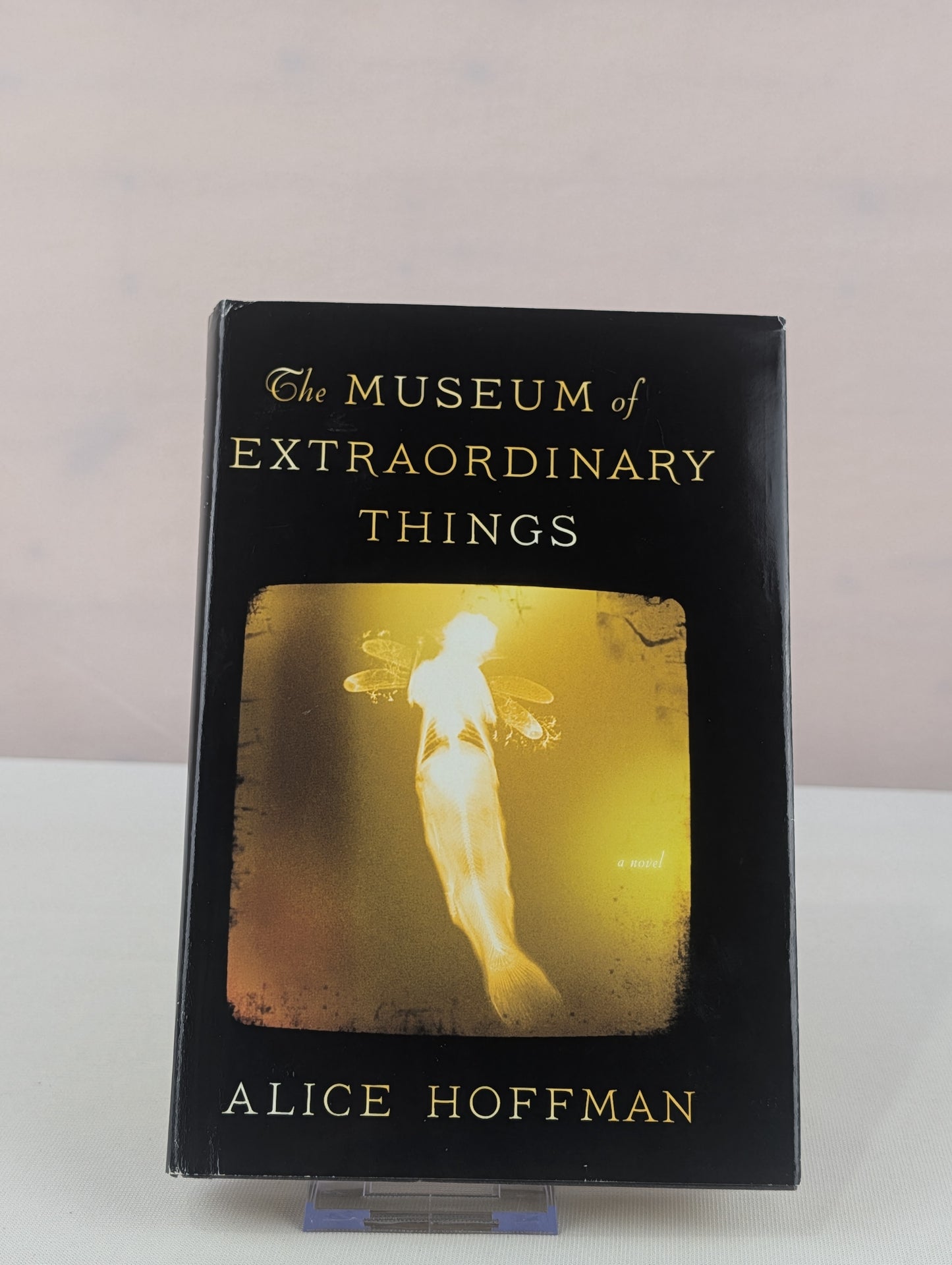 The Museum of Extraordinary Things: A Novel by Alice Hoffman