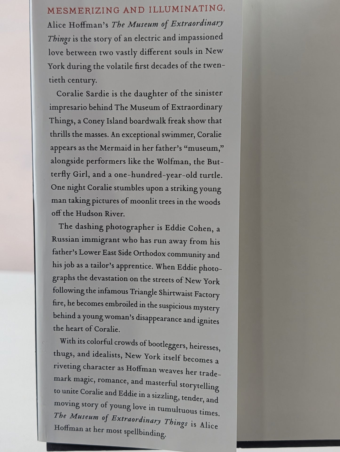 The Museum of Extraordinary Things: A Novel by Alice Hoffman