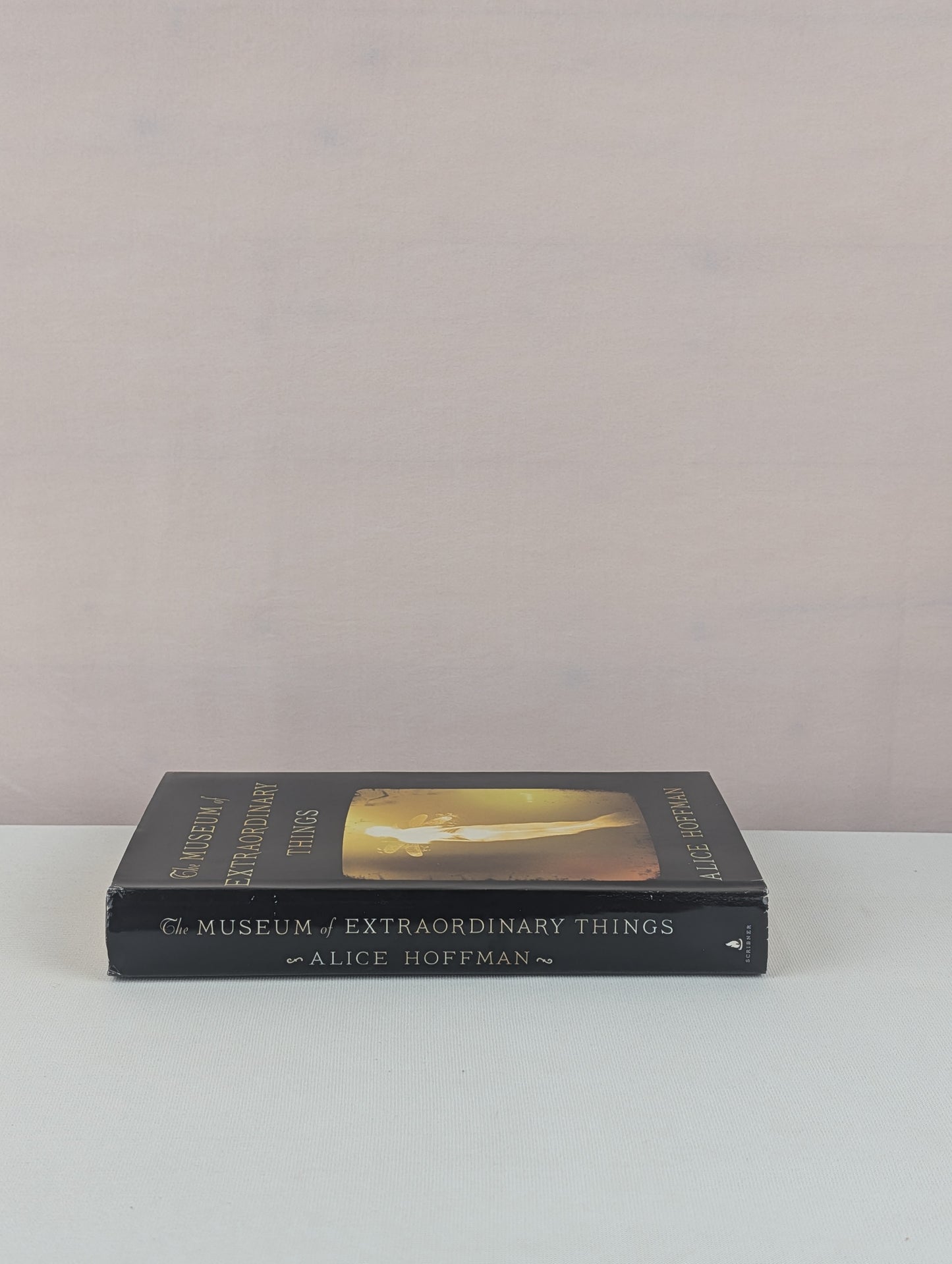 The Museum of Extraordinary Things: A Novel by Alice Hoffman