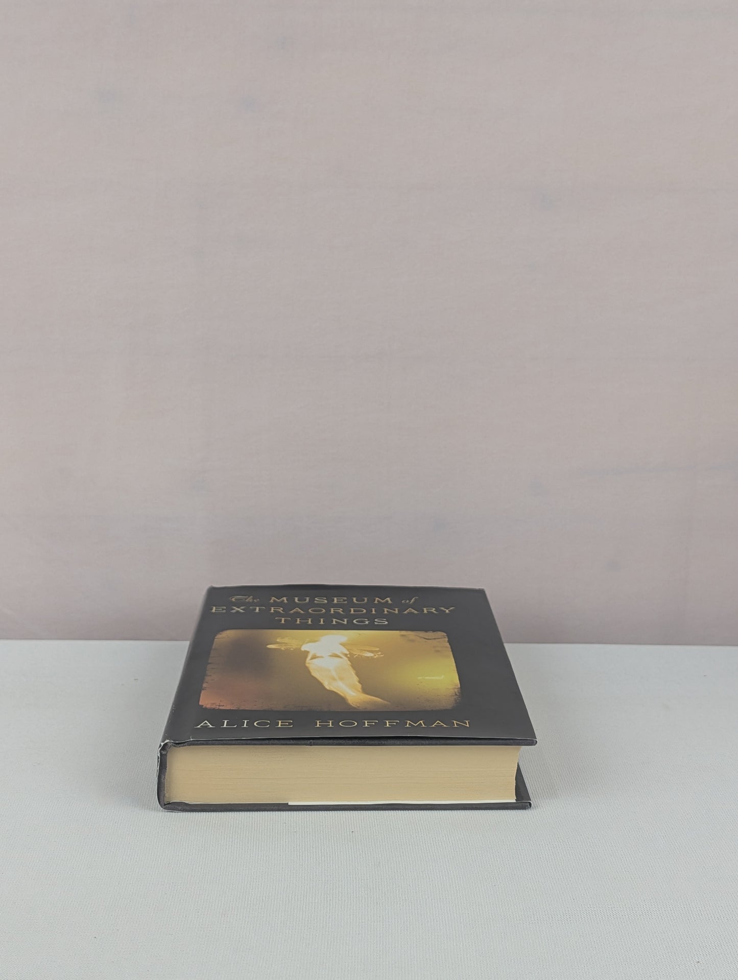 The Museum of Extraordinary Things: A Novel by Alice Hoffman