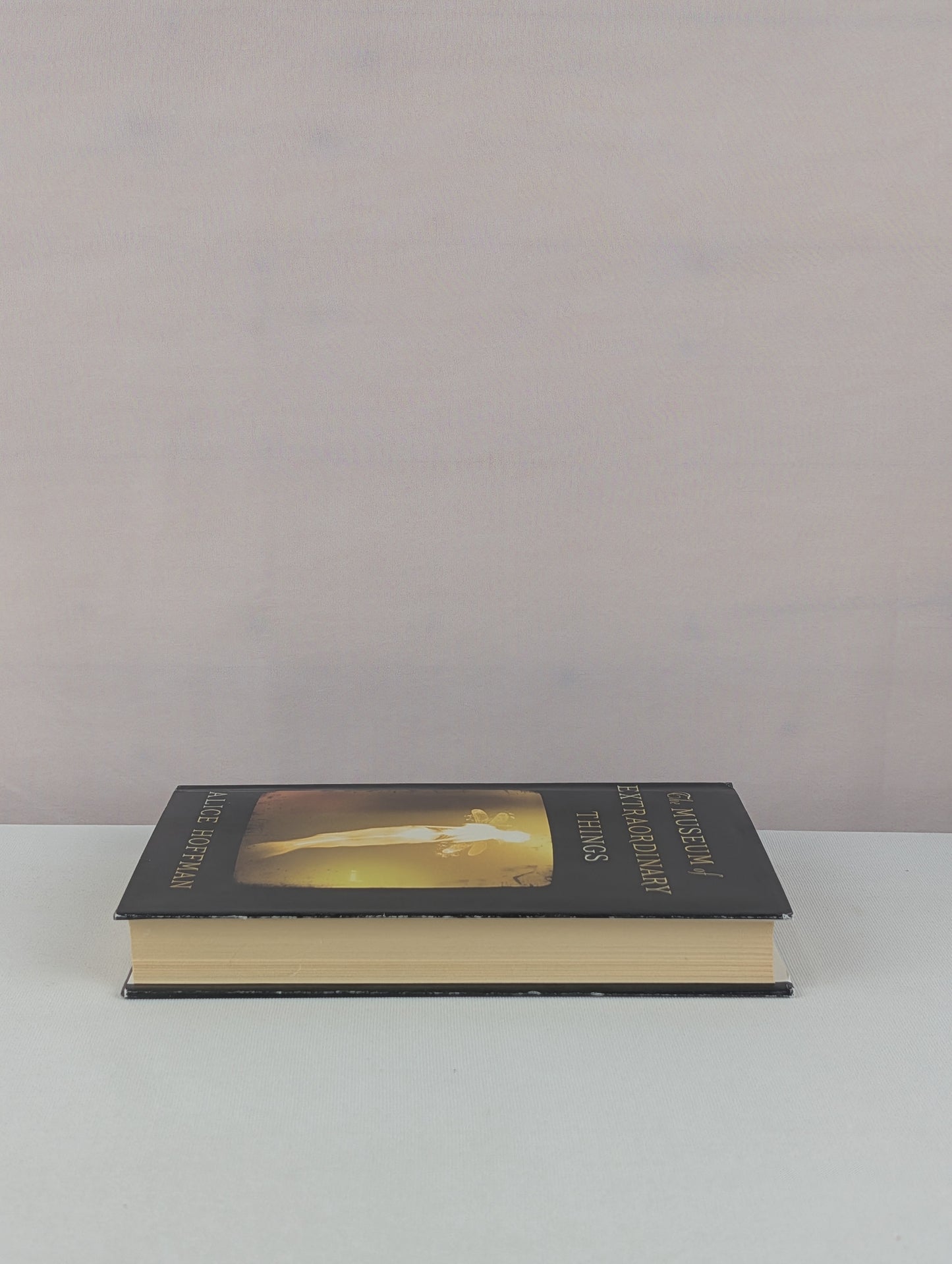 The Museum of Extraordinary Things: A Novel by Alice Hoffman