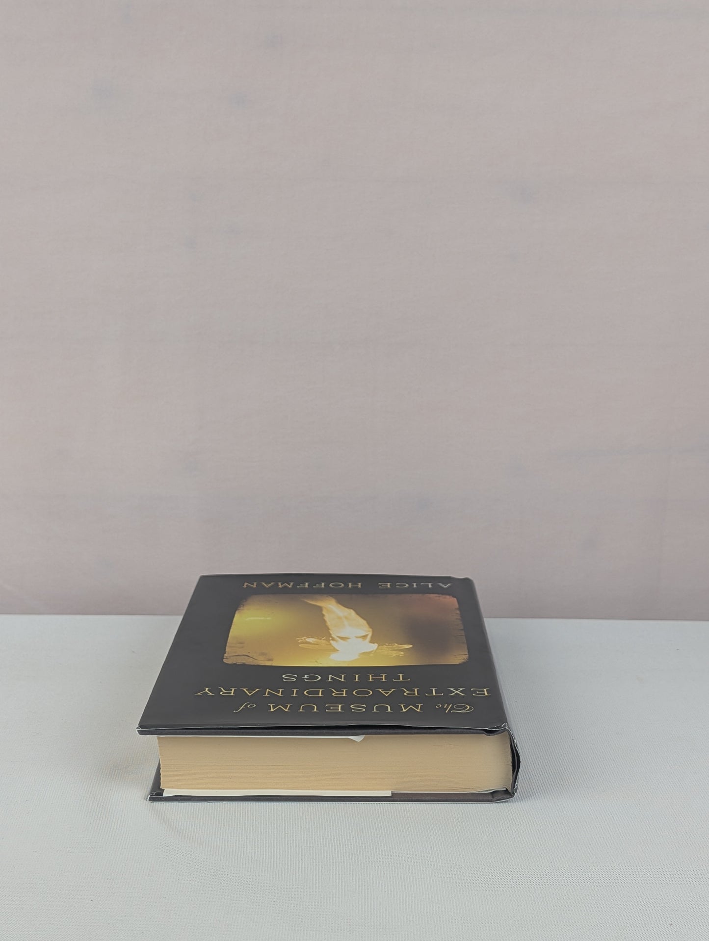 The Museum of Extraordinary Things: A Novel by Alice Hoffman