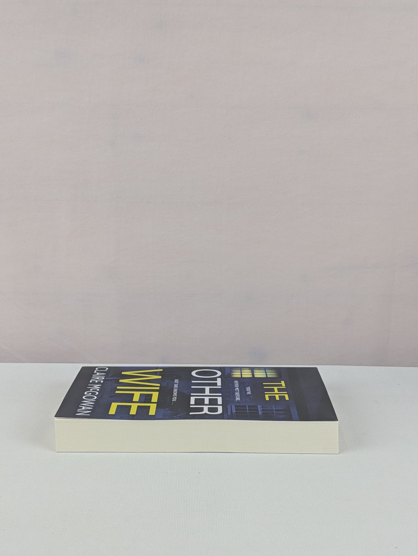 The Other Wife by Claire McGowan