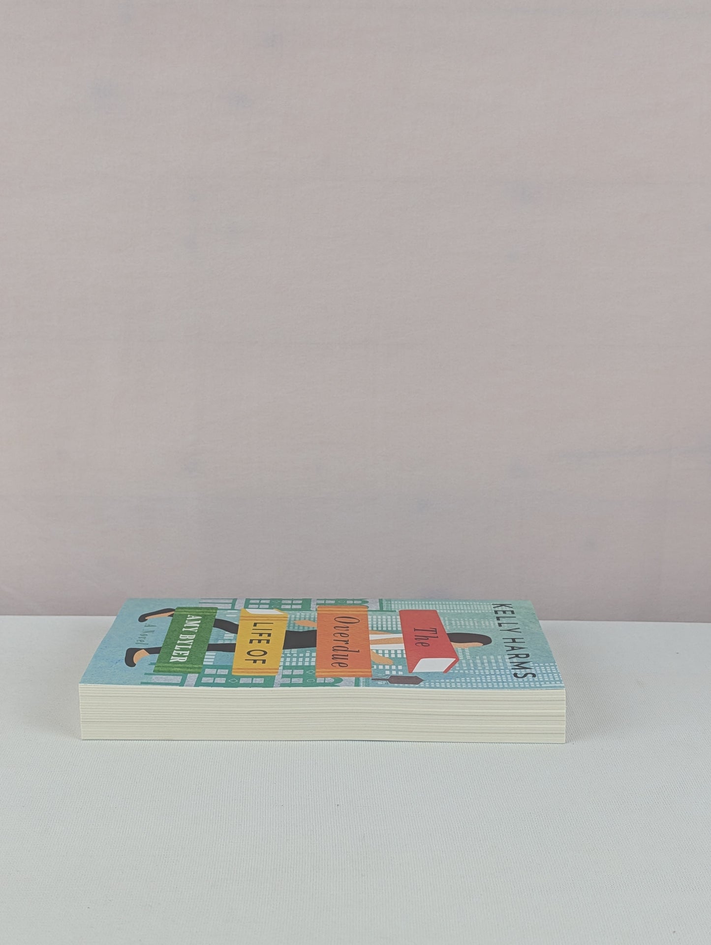 The Overdue Life of Amy Byler by Kelly Harms