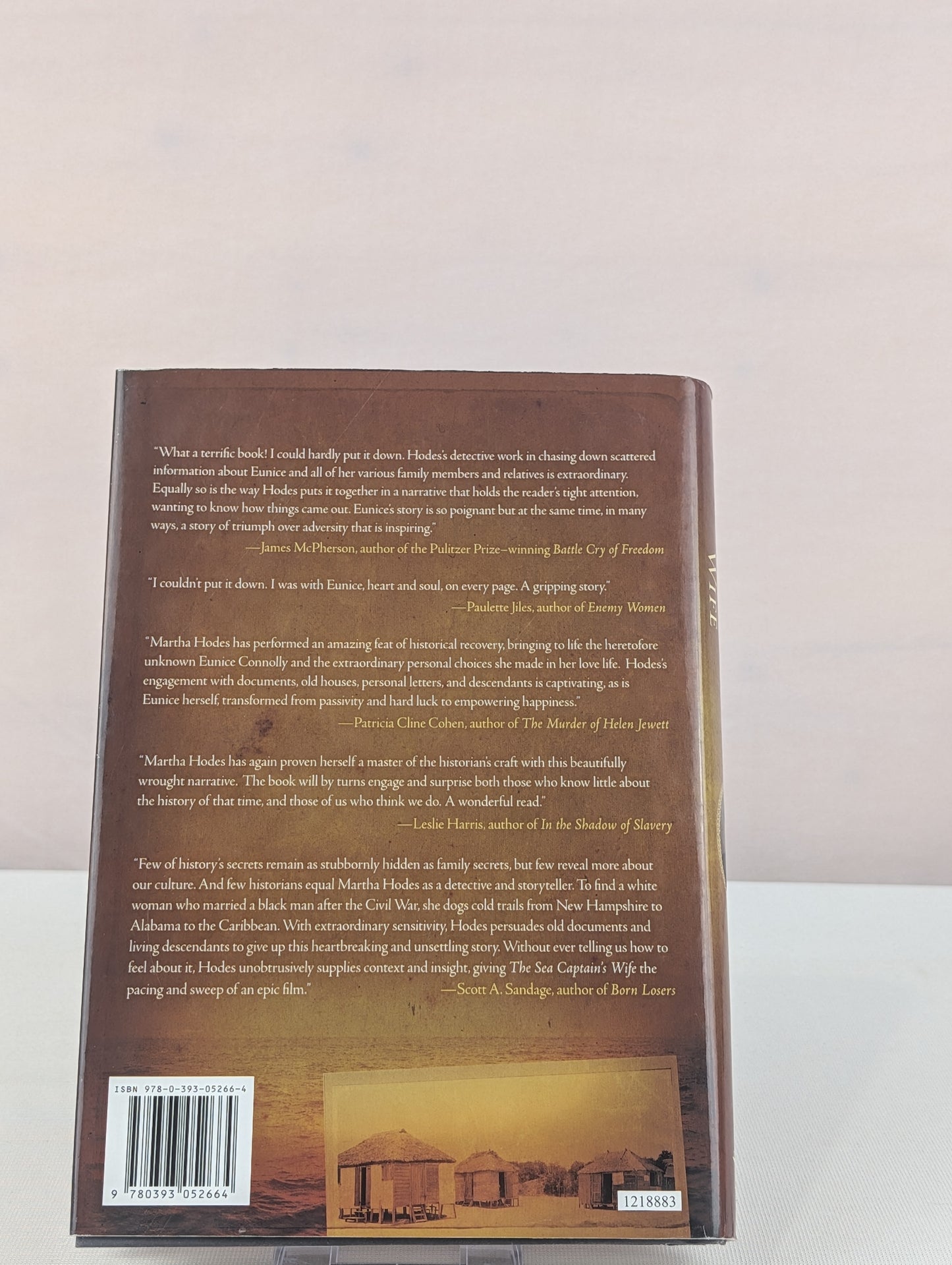 The Sea Captain's Wife: A True Story of Love, Race, and War in the Nineteenth Century by Martha Hodes