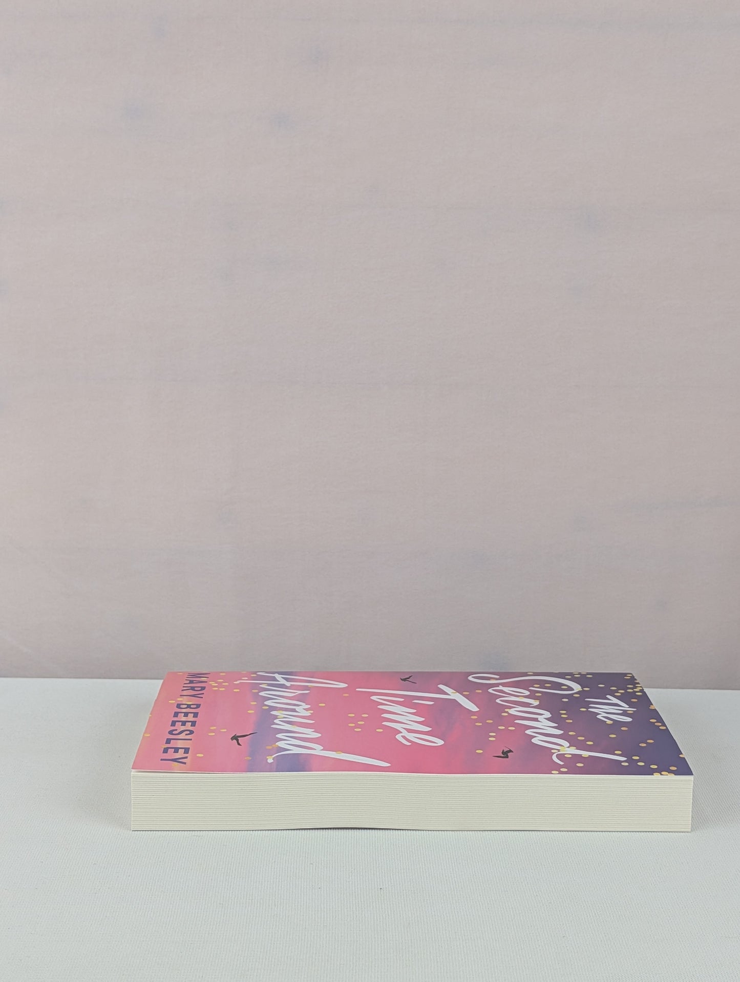 The Second Time Around by Mary Beesley