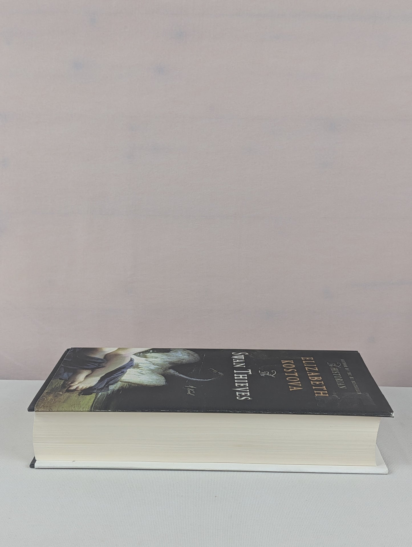 The Swan Thieves: A Novel by Elizabeth Kostova