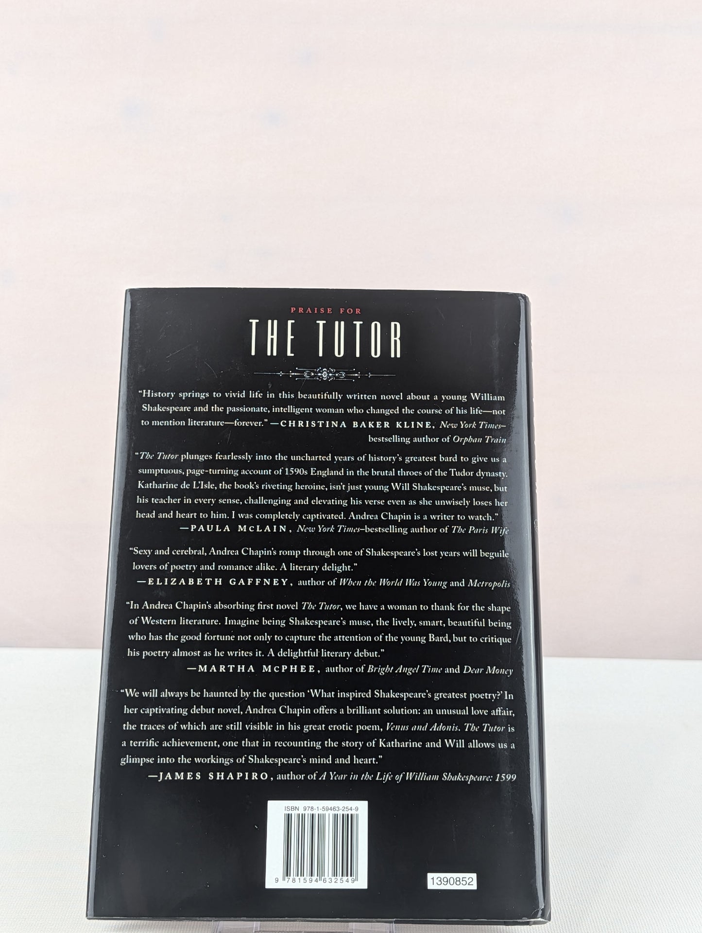The Tutor: A Novel by Andrea Chapin