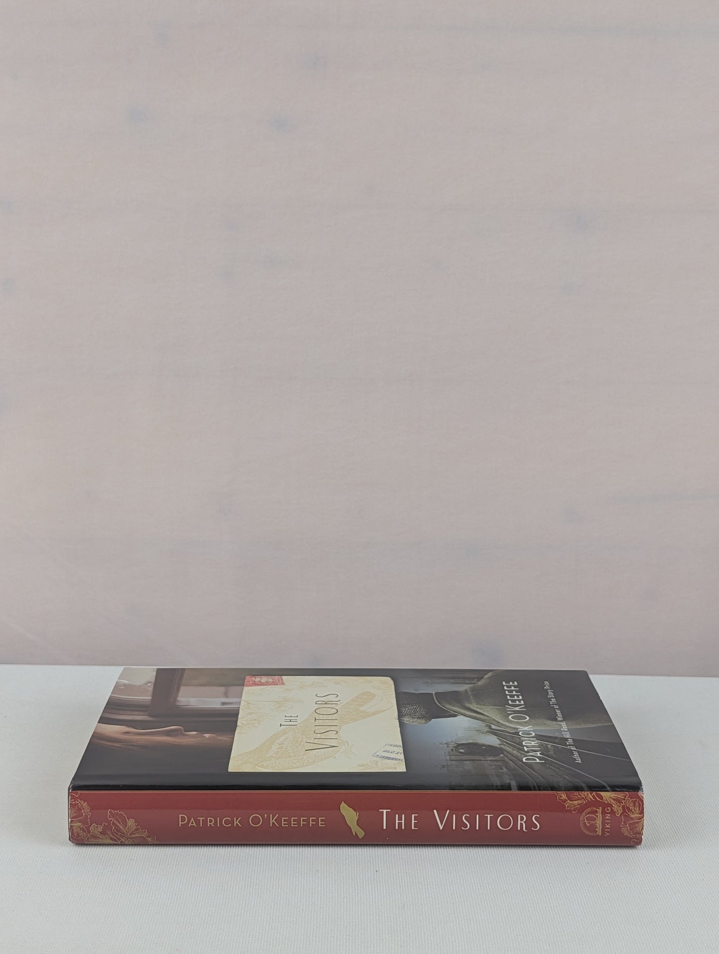 The Visitors by Patrick O'Keeffe