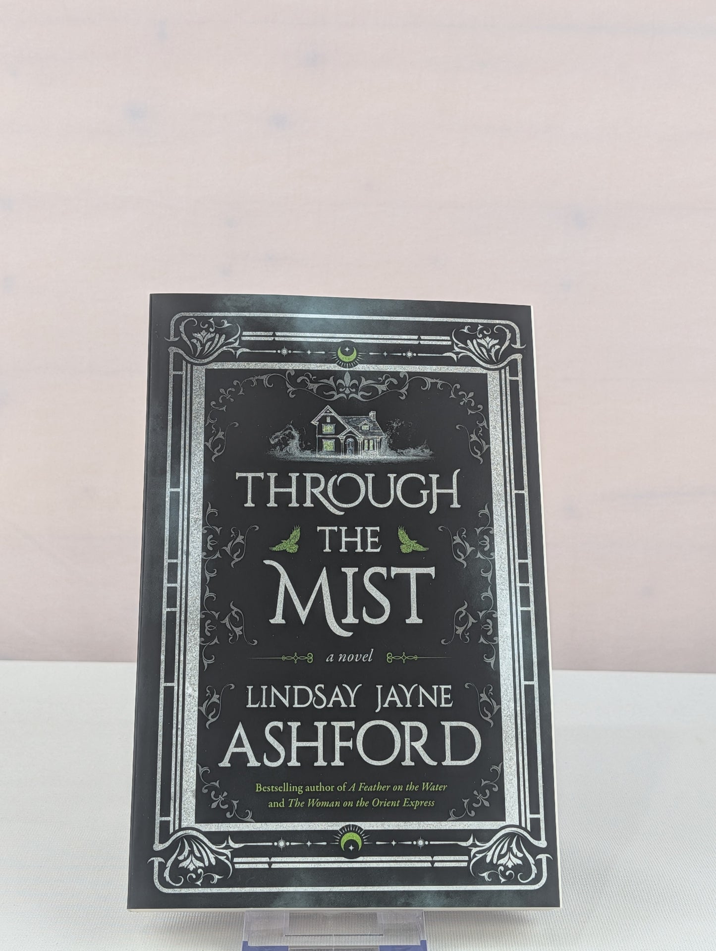 Through the Mist: A Novel by Lindsay Jayne Ashford