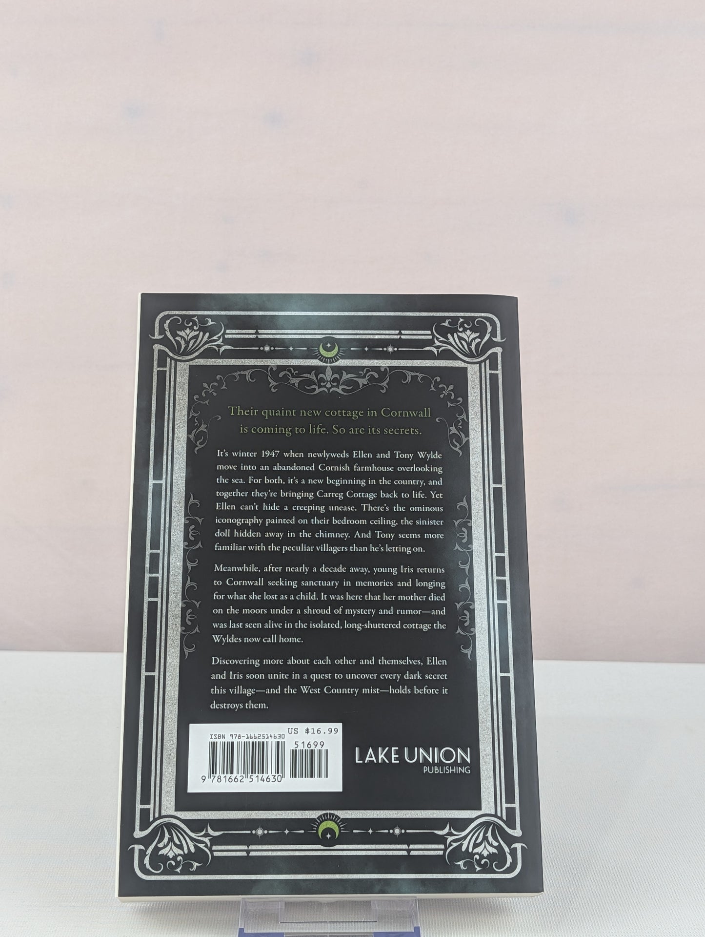 Through the Mist: A Novel by Lindsay Jayne Ashford