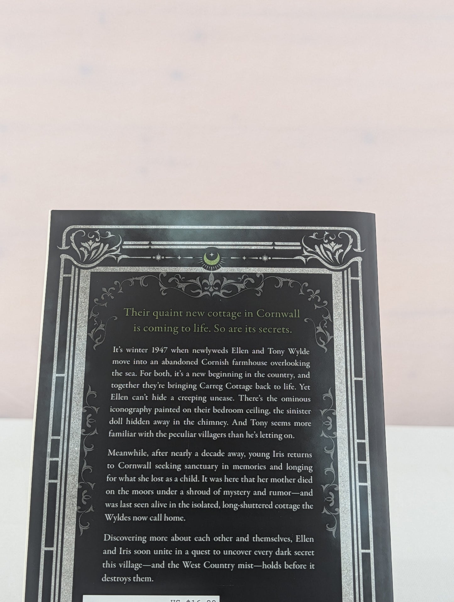Through the Mist: A Novel by Lindsay Jayne Ashford