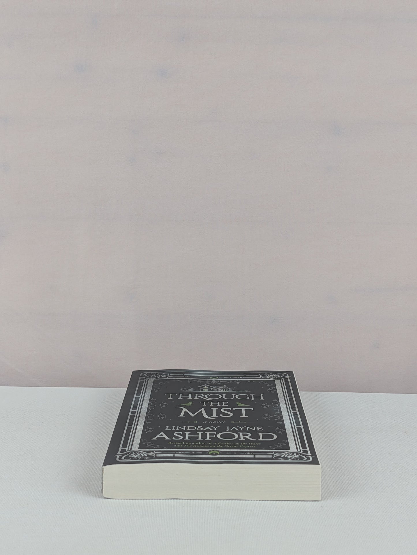 Through the Mist: A Novel by Lindsay Jayne Ashford