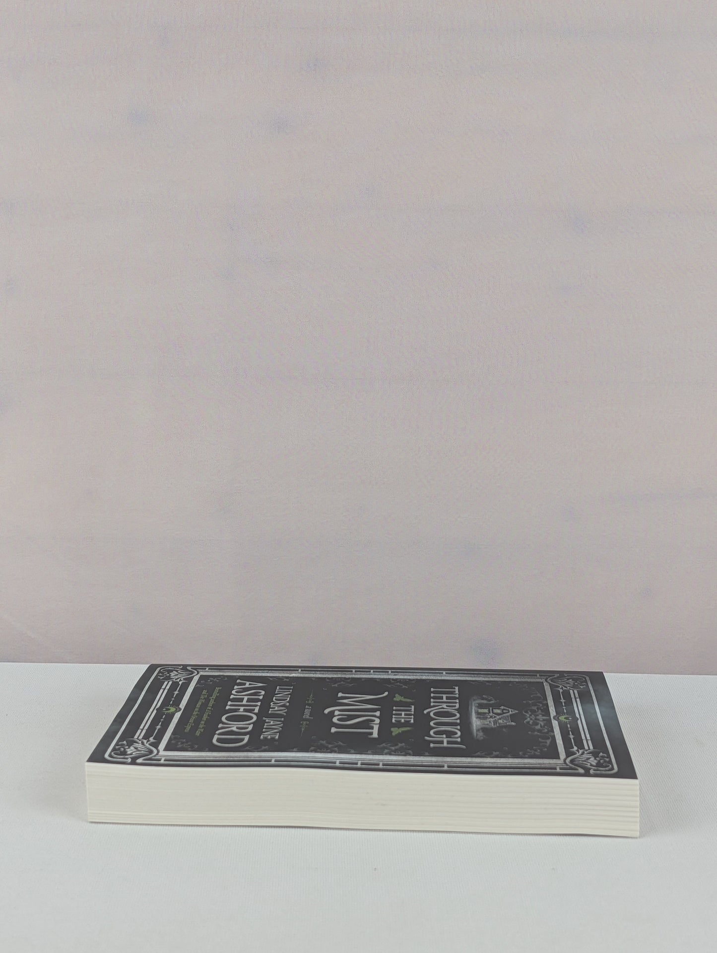 Through the Mist: A Novel by Lindsay Jayne Ashford