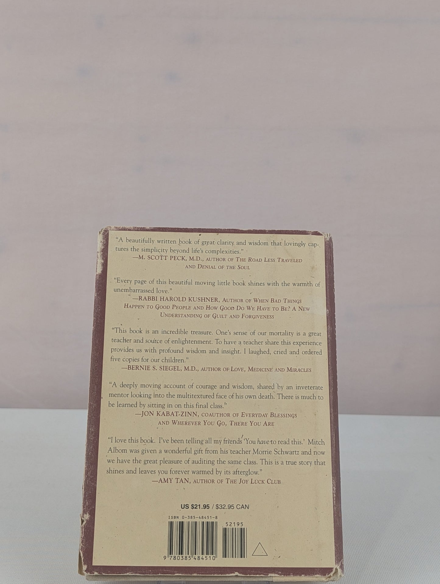 Tuesdays with Morrie: An Old Man, a Young Man and Life's Greatest Lesson by Mitch Albom