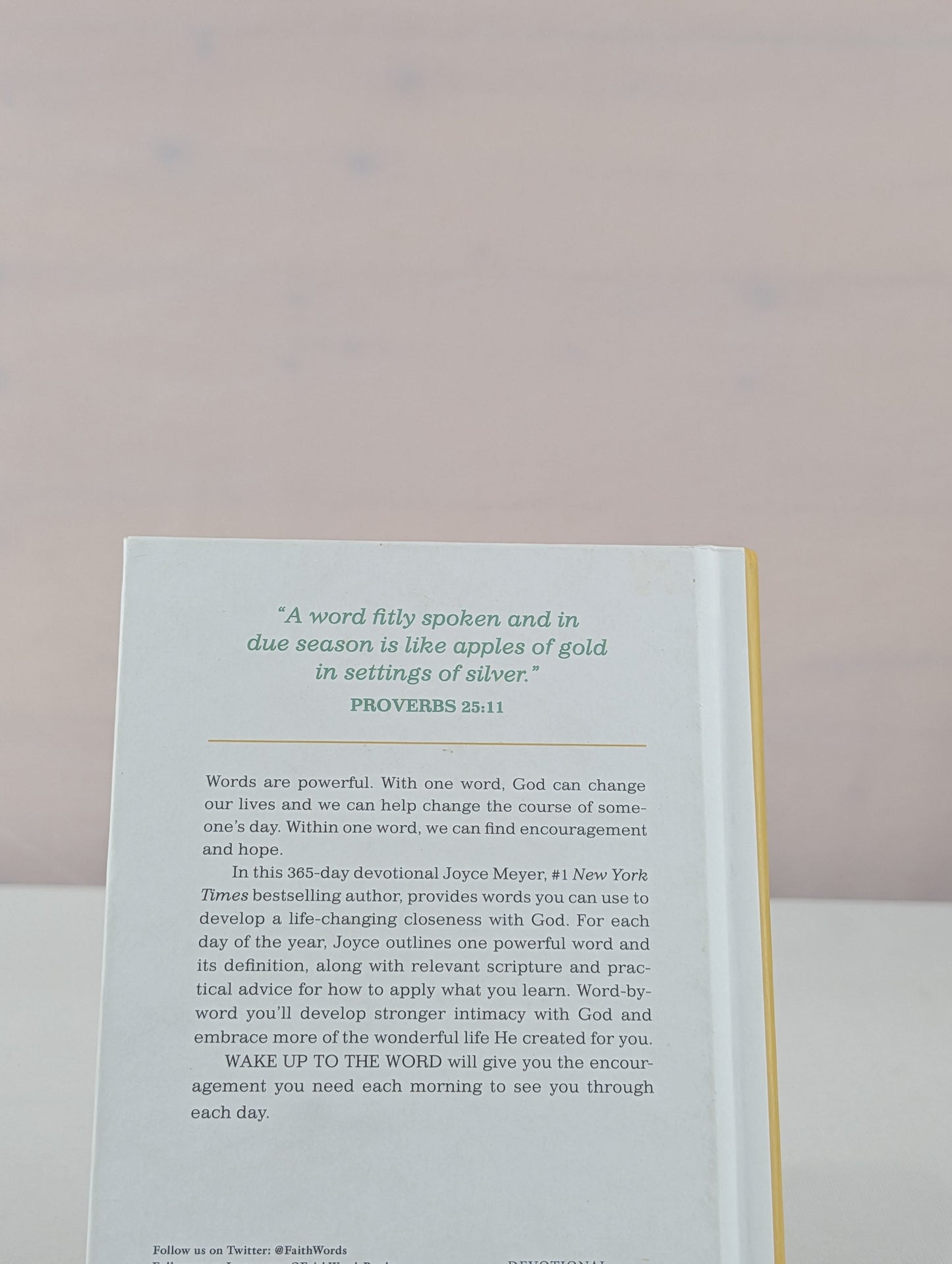 Wake Up to the Word: 365 Devotions to Inspire You Each Day by Joyce Meyer